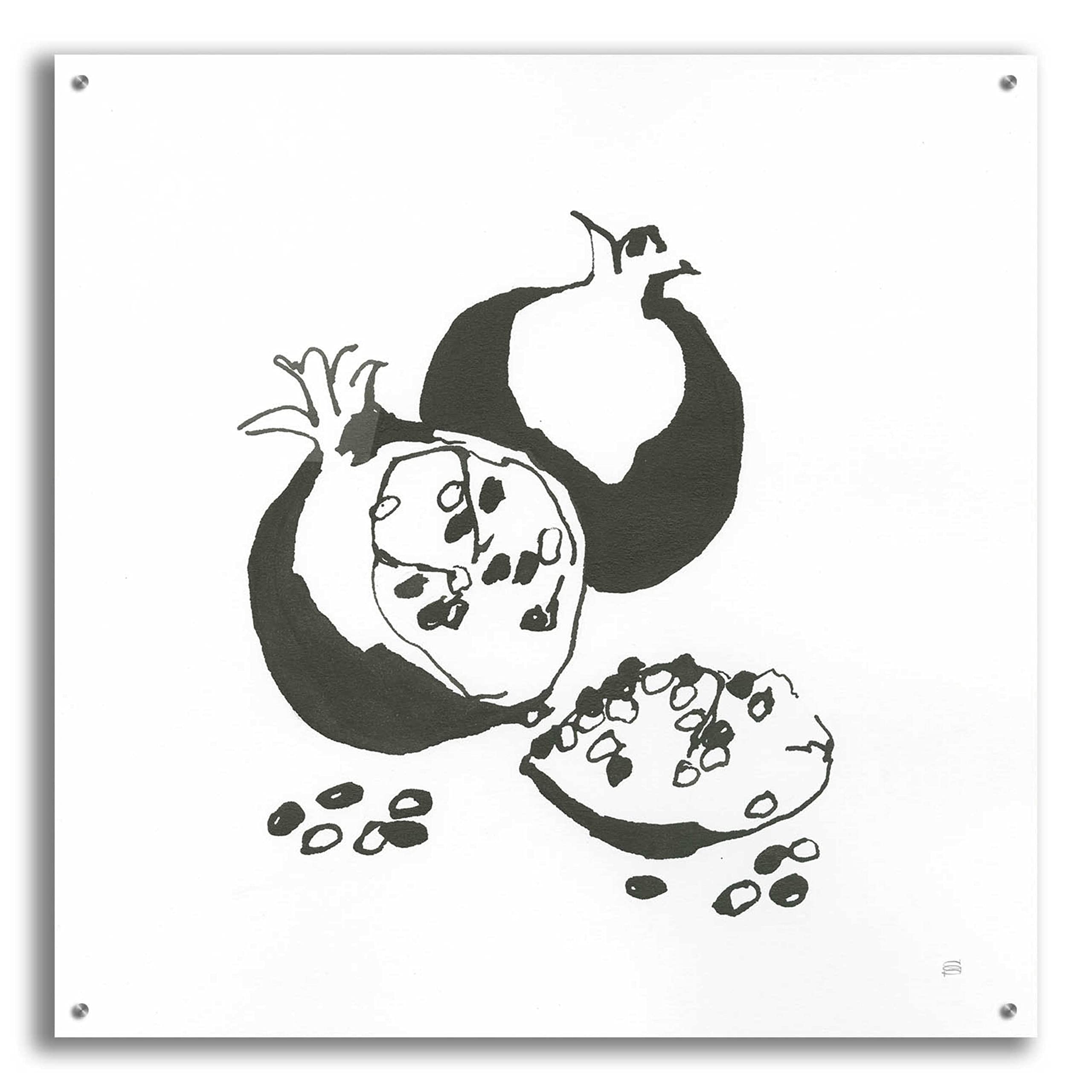 Chris Paschke 'Pomegranate II BW' Modern Abstract Acrylic Glass Wall Art - 36x36 Inches Framed Canvas Print for Living Room, Bedroom & Office Decor