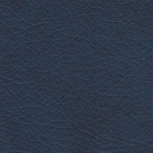 Spradling Allegro ALG-7058 Vinyl Fabric - Capri Blue, 54