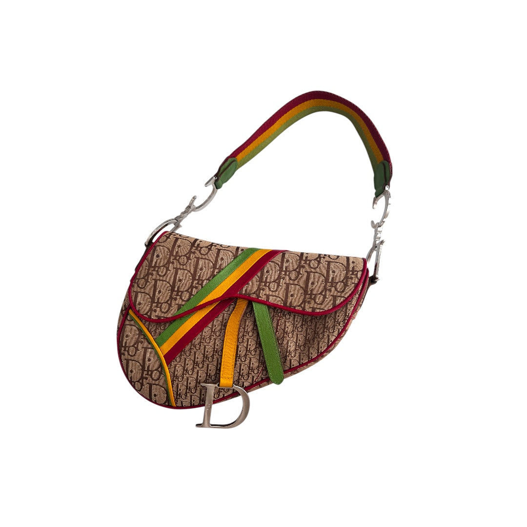 Dior Rasta Saddle Bag - Luxury Designer Handbag for Women | Fashionable Crossbody & Shoulder Bag for Parties, Travel & Everyday Use