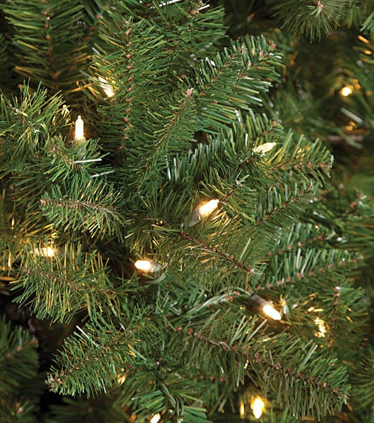12' Fluff-Free Monroe Pine LED Pre-Lit Artificial Christmas Tree with Stand - Green | Perfect for Living Room, Office, and Holiday Decorations