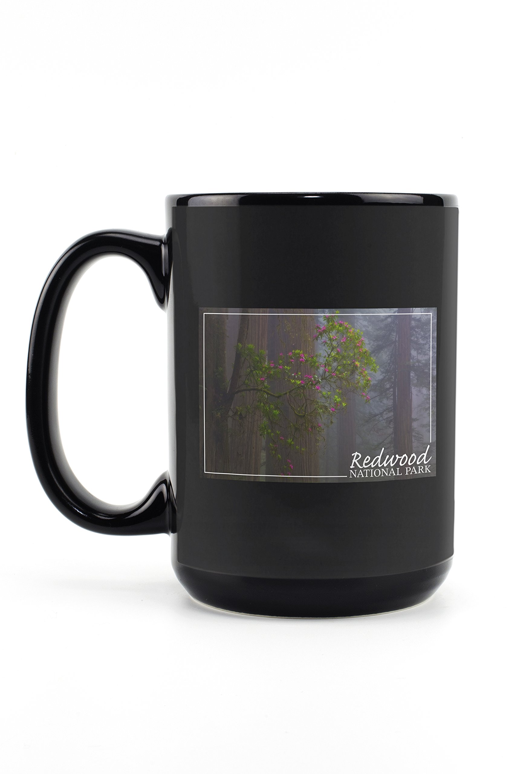 Redwood National Park Forest Scene 15oz Ceramic Coffee Mug - Black, Dishwasher & Microwave Safe - Perfect for Camping, Hiking & Outdoor Adventures