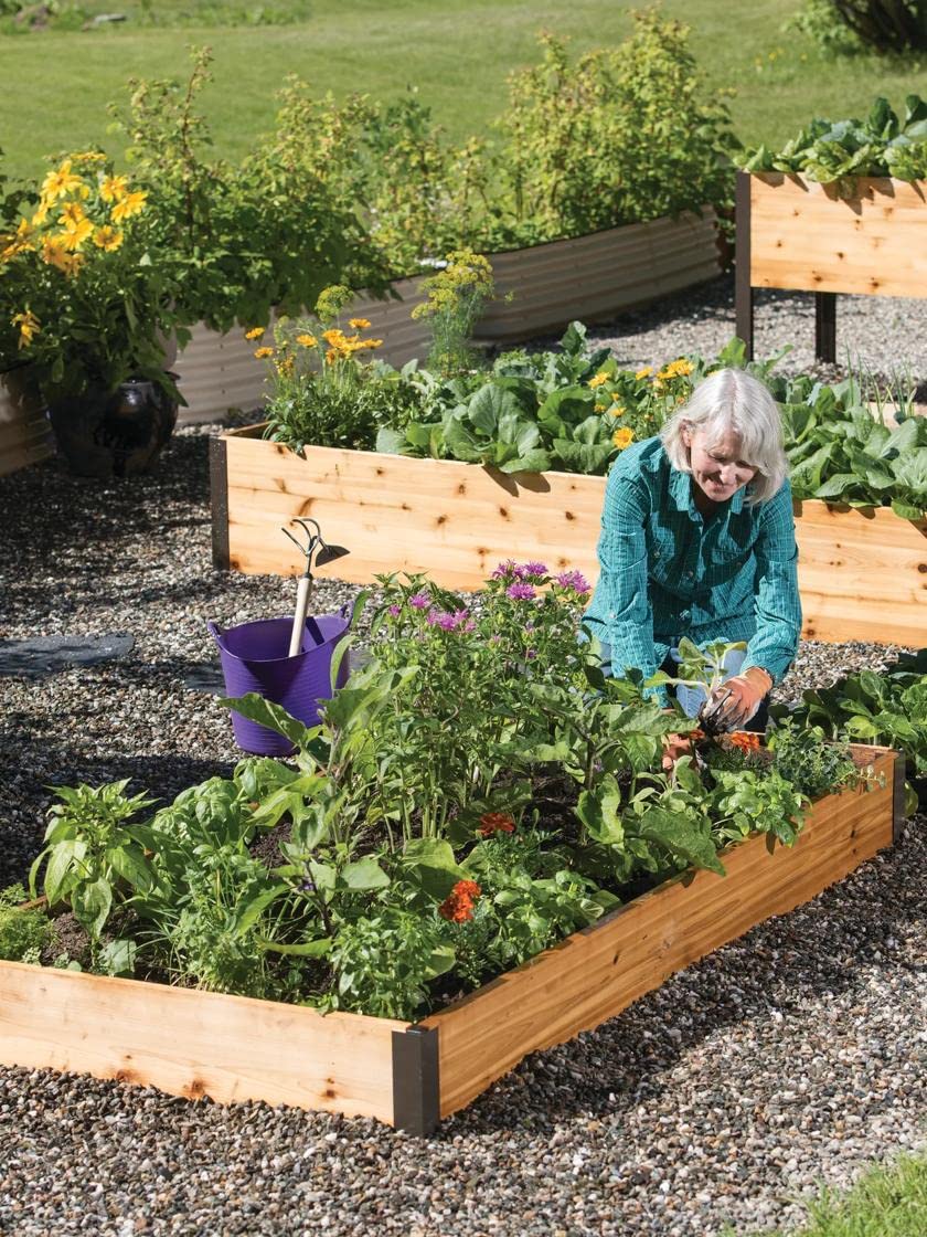 Premium Cedar Raised Garden Bed Kit - 3ft x 8ft Weather-Resistant Outdoor Planter Box for Vegetables, Herbs & Flowers with Rust-Proof Aluminum Corners | Perfect for Backyard Gardening, Urban Farming & Organic Planting