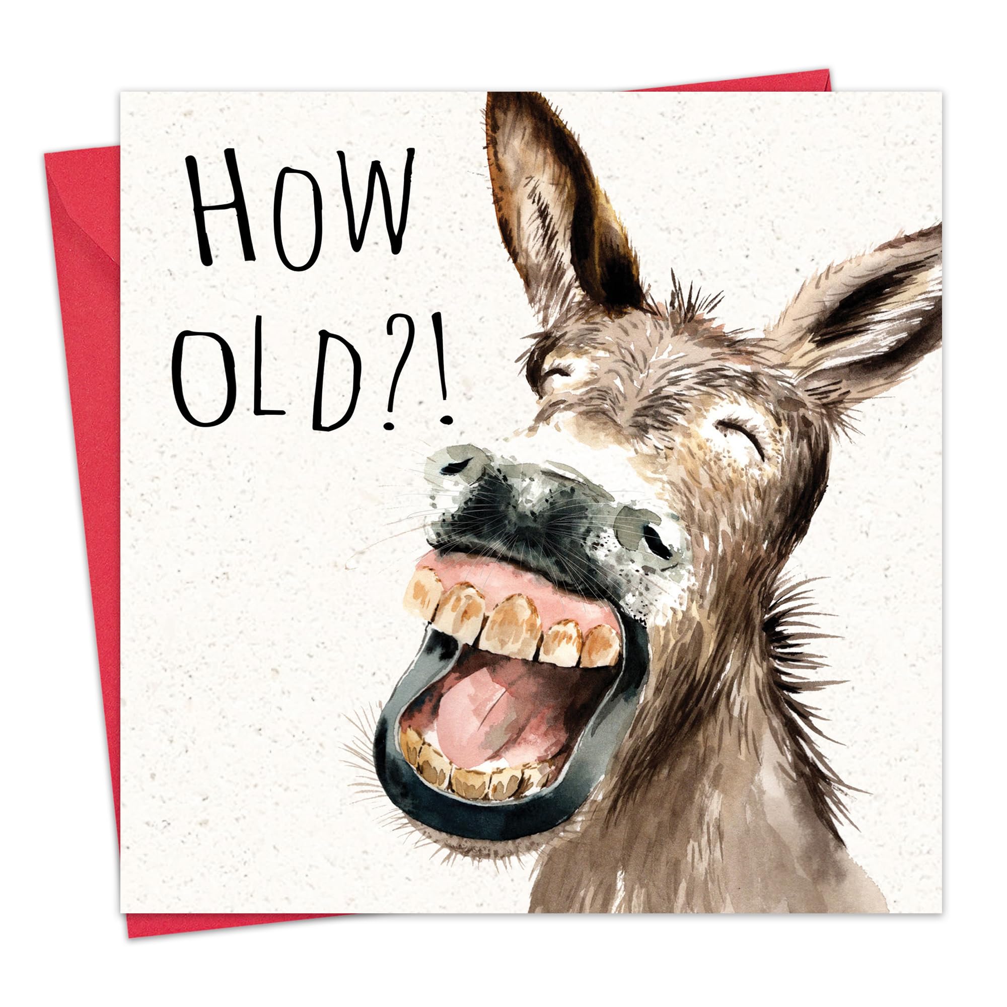 Funny Donkey Birthday Card for Men & Women - Hilarious Humorous Greeting Card for Him or Her - Perfect for Friends, Coworkers & Family - Great for Office Gifts, Parties & Surprise Celebrations