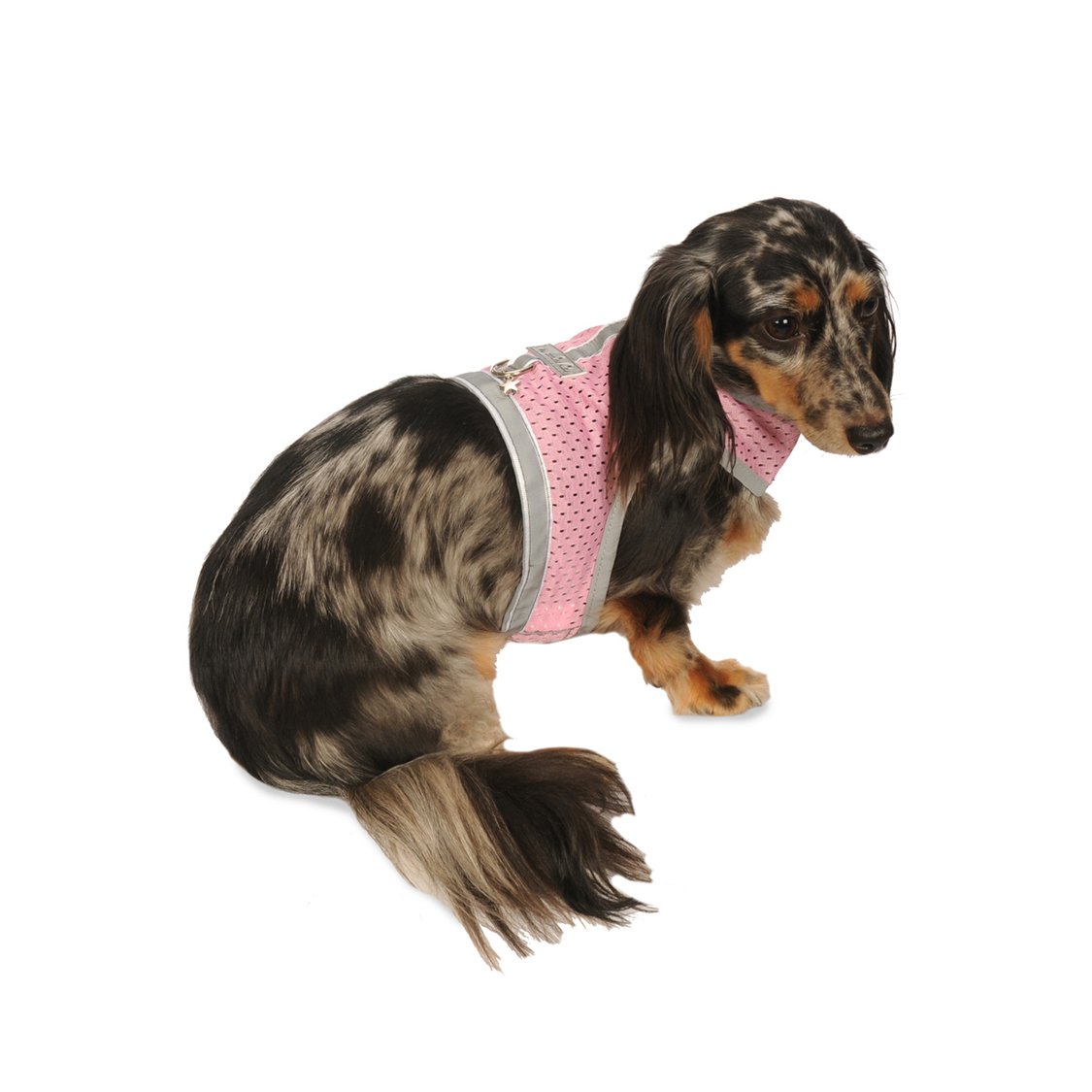 **Reflective Mesh Dog Harness for Small Dogs & Puppies | Breathable, Adjustable Velcro Strap | Perfect for Walking, Running & Outdoor Adventures**