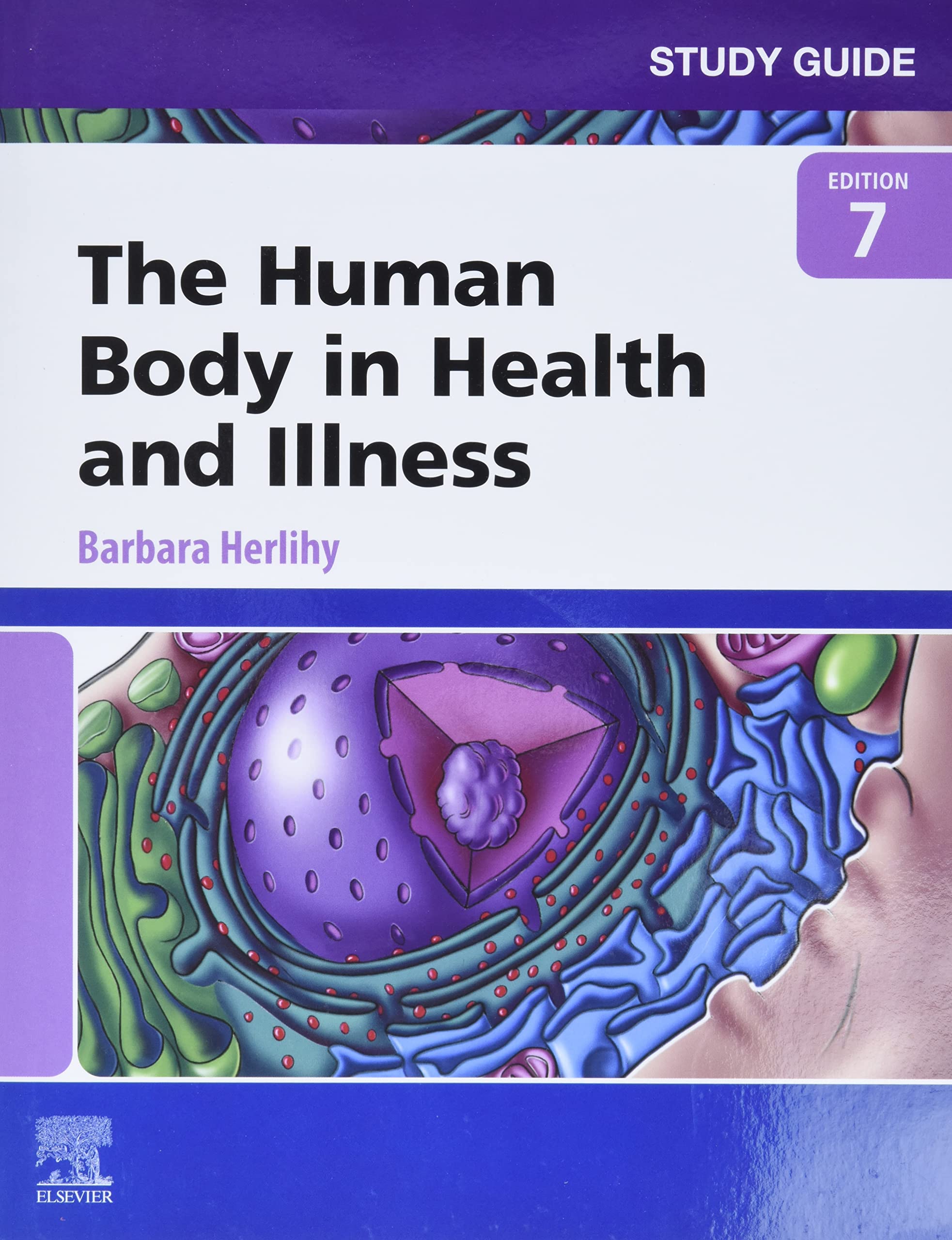 Human Body in Health and Illness Study Guide - Comprehensive Anatomy & Physiology Textbook for Nursing Students | Perfect for Medical School Prep & NCLEX Exam Review