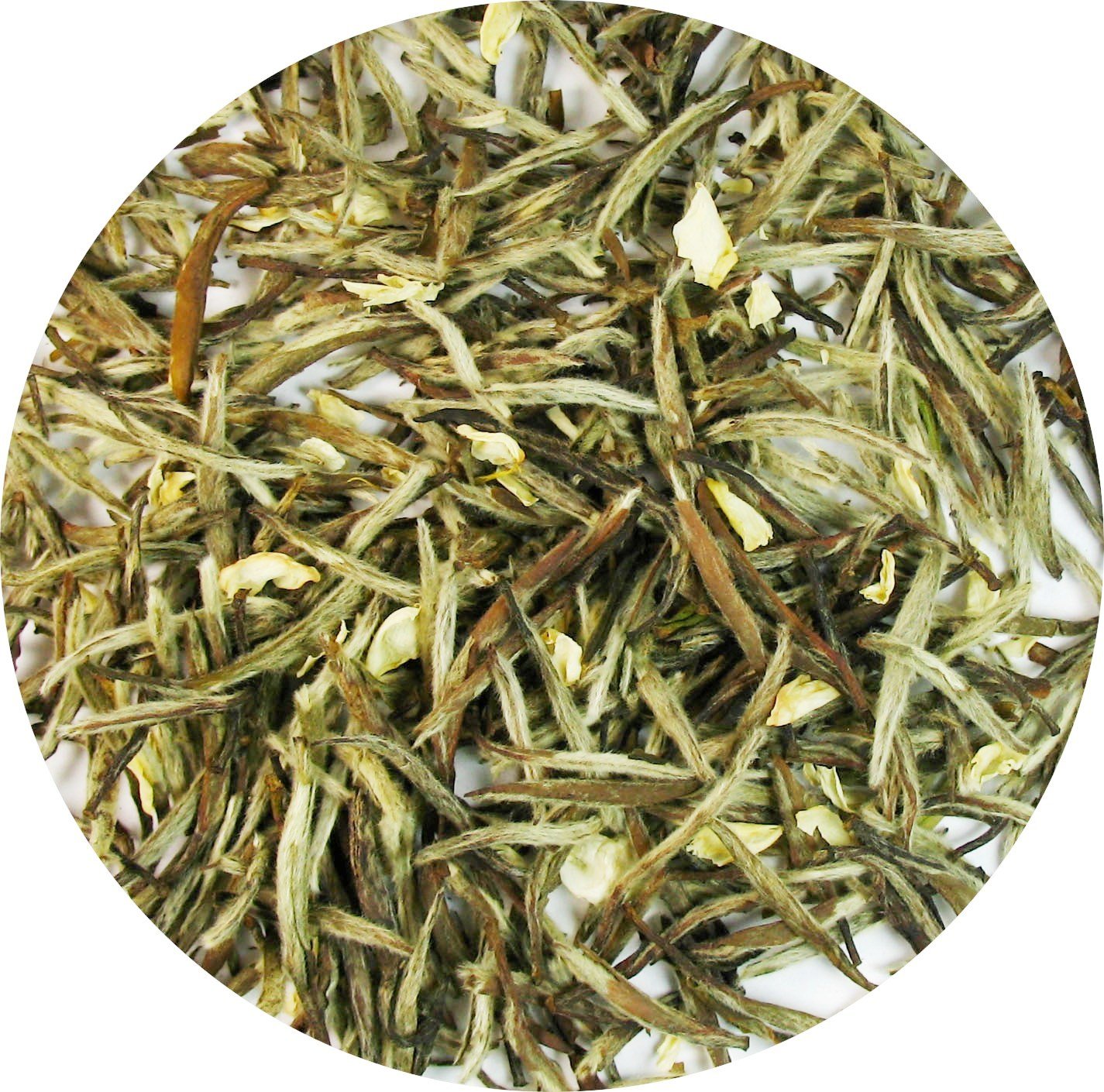 Premium Jasmine Silver Needle White Tea - 1 LB Loose Leaf Tea with All Tippy Buds | Floral Aroma & Smooth Taste | Perfect for Relaxation, Meditation & Afternoon Tea Time