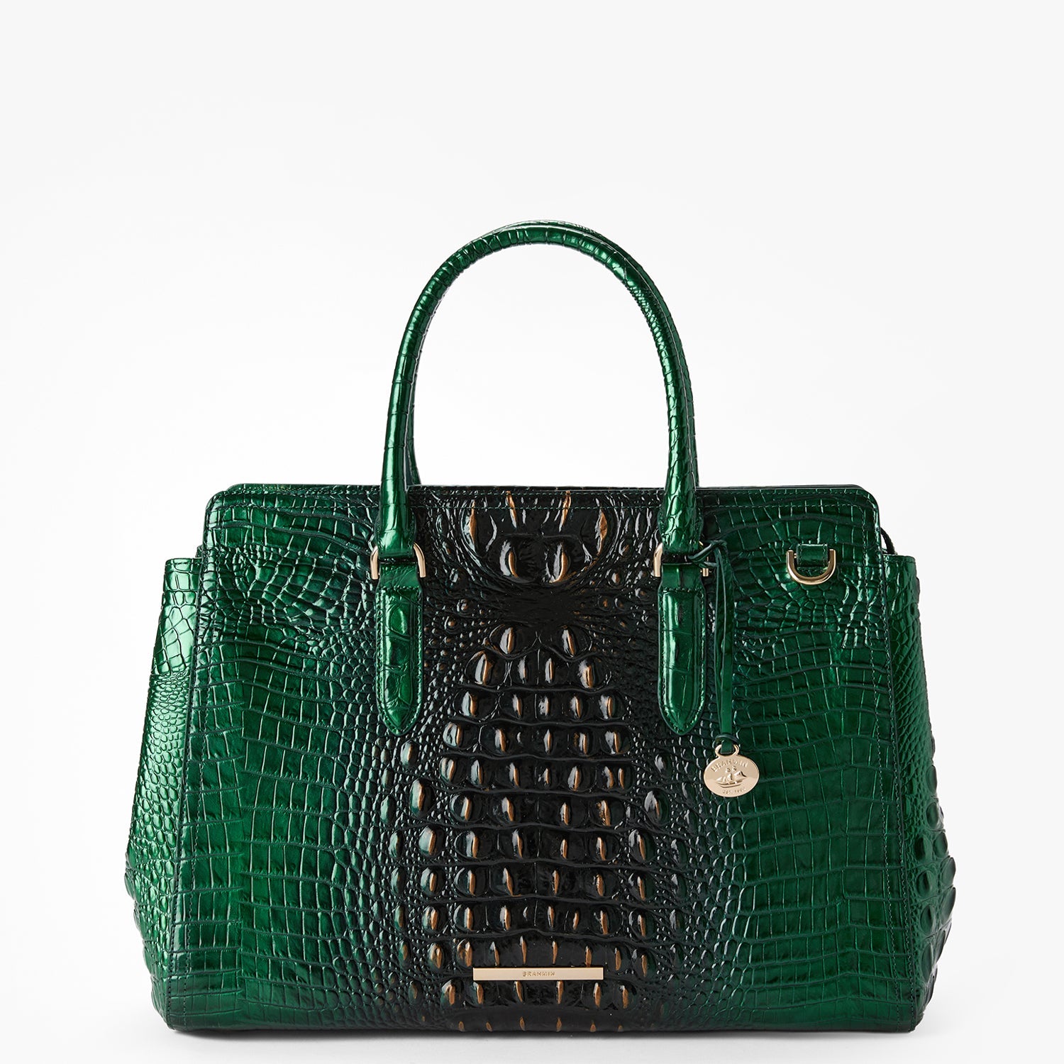 Finley Carryall Evergreen Ombre Tote Bag - Stylish & Spacious Handbag for Women | Perfect for Work, Travel, and Everyday Use