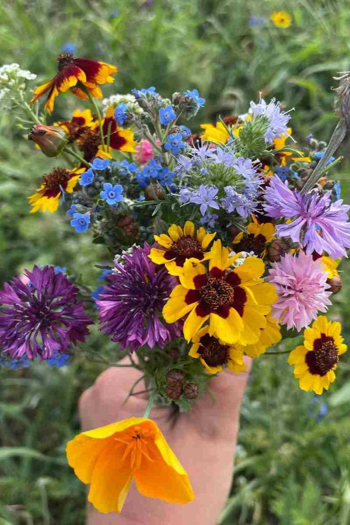 Premium Bee Nectary Flower Mix Seeds - Attract Pollinators & Beautify Your Garden | Perfect for Butterfly Gardens, Backyard Landscaping & Eco-Friendly Pollinator Habitats