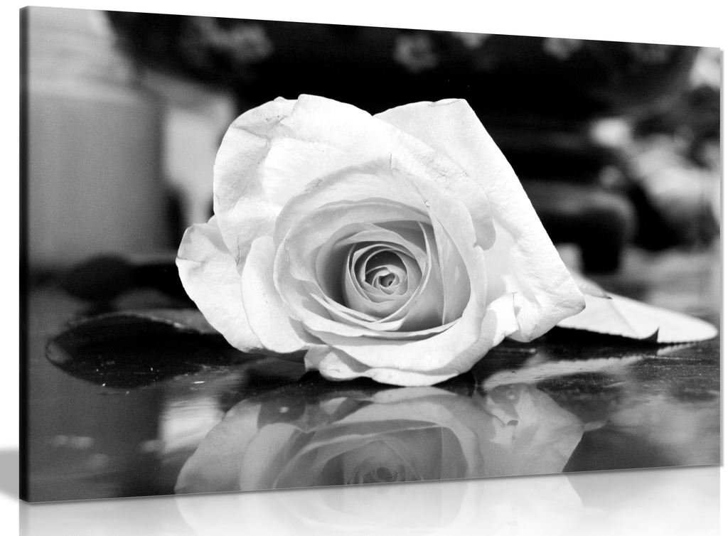 Black and White Rose Canvas Wall Art Print - 24x16 Inches - Modern Floral Home Decor for Living Room, Bedroom & Office