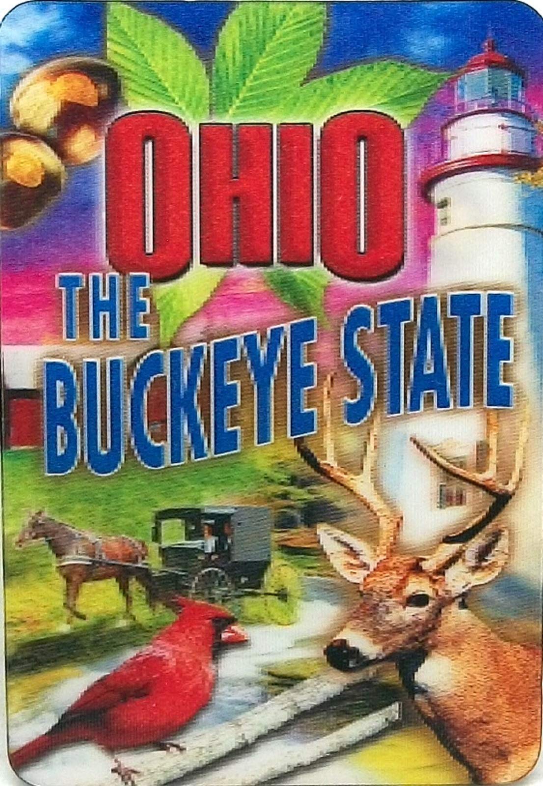 Ohio The Buckeye State 3D Refrigerator Magnet - Unique Souvenir & Gift for Travel Lovers, Perfect for Fridge, Office, or Home Decor