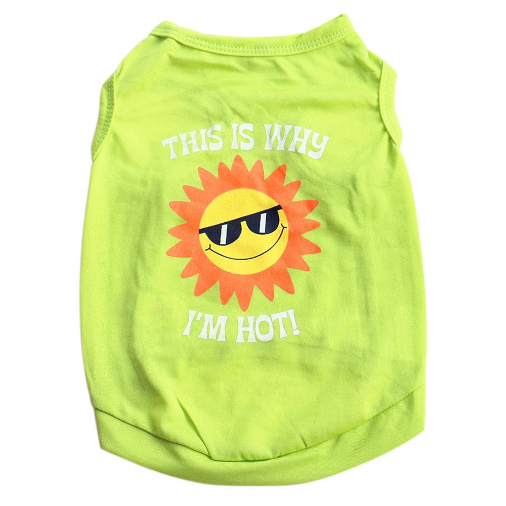 Stylish Puppy T-Shirt & Small Dog Hoodies - Cute Printed Pet Sweatshirt for Halloween Costume | Dog & Cat Fashion Clothes for Daily Wear & Special Occasions