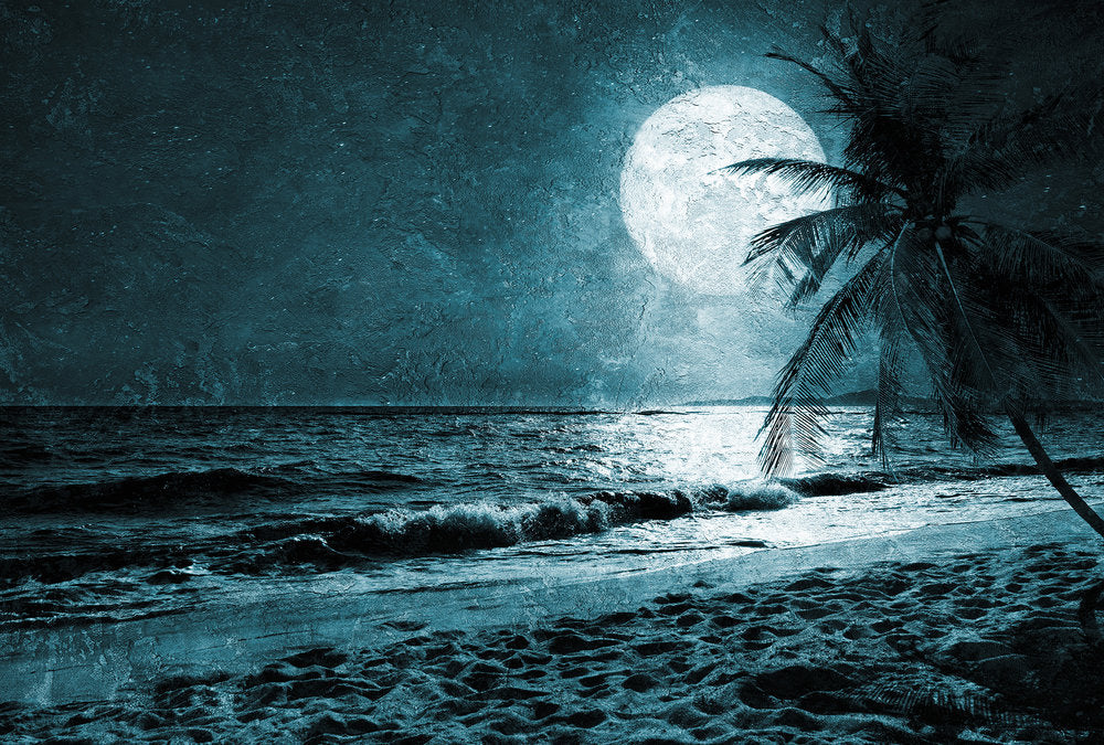 Atelier 47 Beach Night Perfume - Long Lasting Tropical Coconut Scent for Women | Perfect for Summer Vacations, Beach Parties & Romantic Evenings