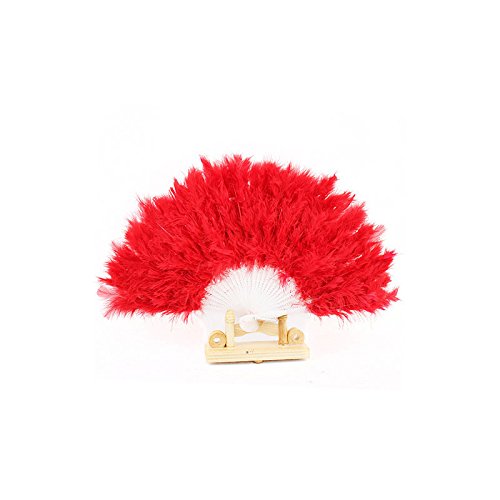 RD Folding Dance Hand Fan - Wedding Props, Home Decor (Red) for Performances & Events