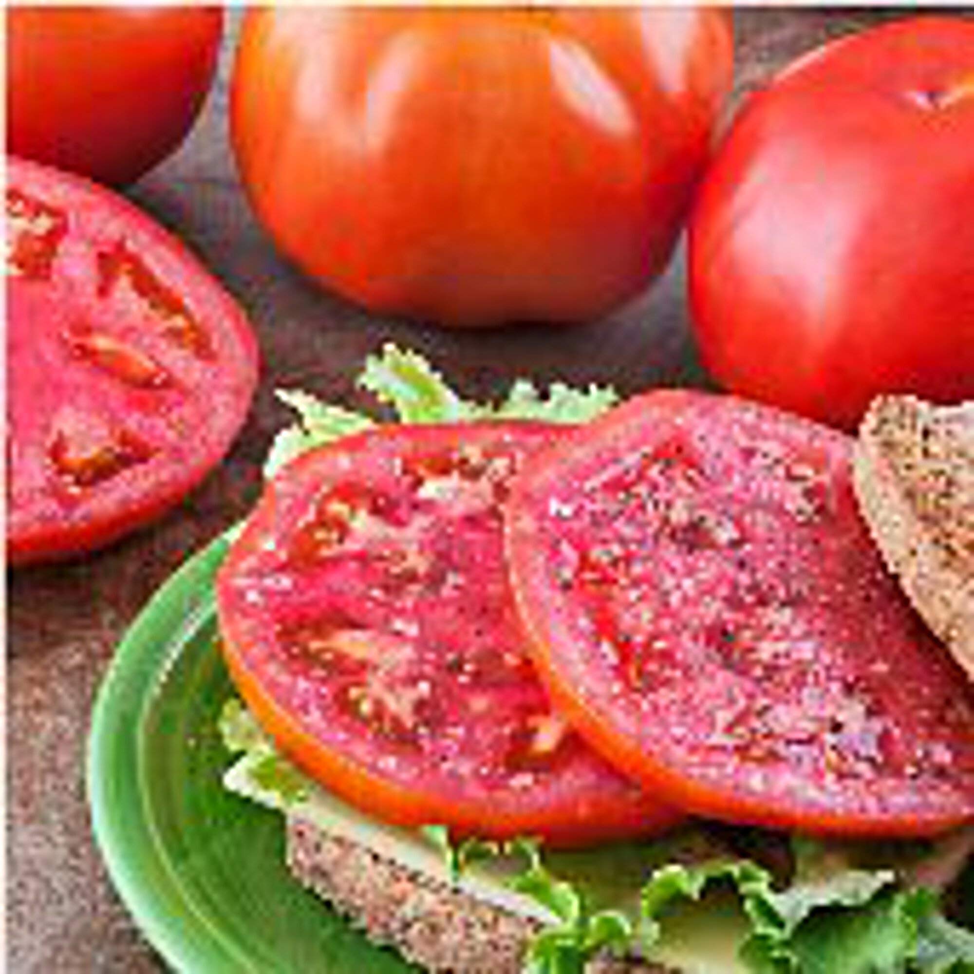 Amelia Tomato Seeds (20+ Seeds) | Non-GMO Heirloom Vegetable Seeds for Planting | Home Garden, Greenhouse, or Container Growing | Fresh Salad & Cooking Use