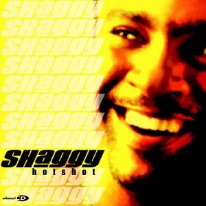 Shaggy 2000 Audio Hotshot Enhanced Edition - Premium Sound System for Home Theater & Music Listening