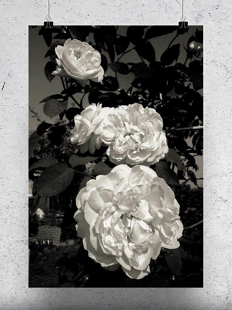 Smartprints Black and White Rose Flowers Poster - Elegant Botanical Wall Art for Home, Office & Gift Decor