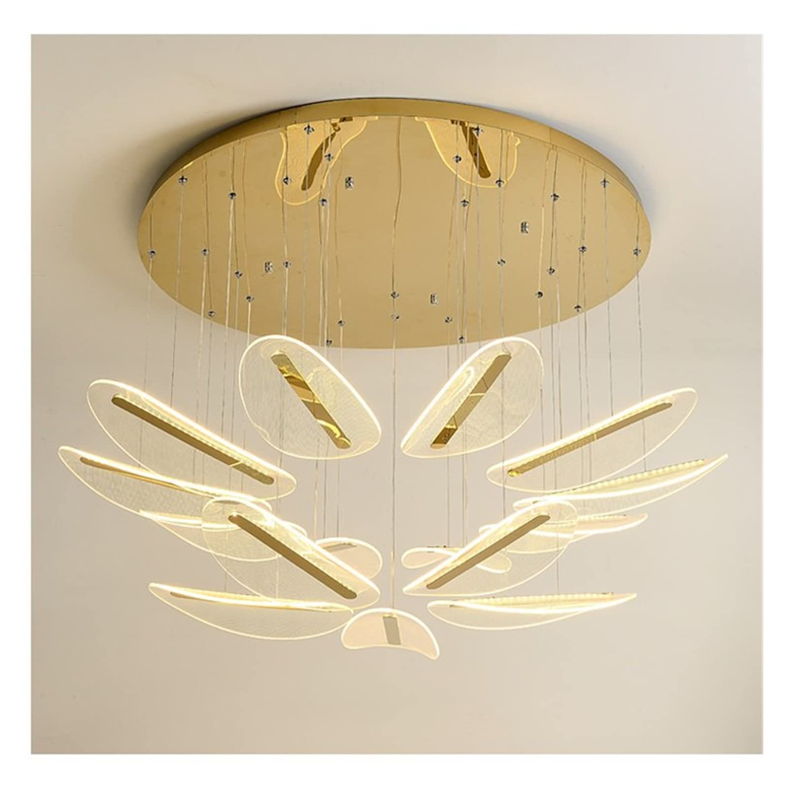 Modern LED Chandelier Light Fixture - Golden Multi-Head Acrylic Lampshade for Living Room, Dining Room, Bedroom & Hallway - Energy Efficient Ceiling Light for Home, Villa, Duplex & Office Decor