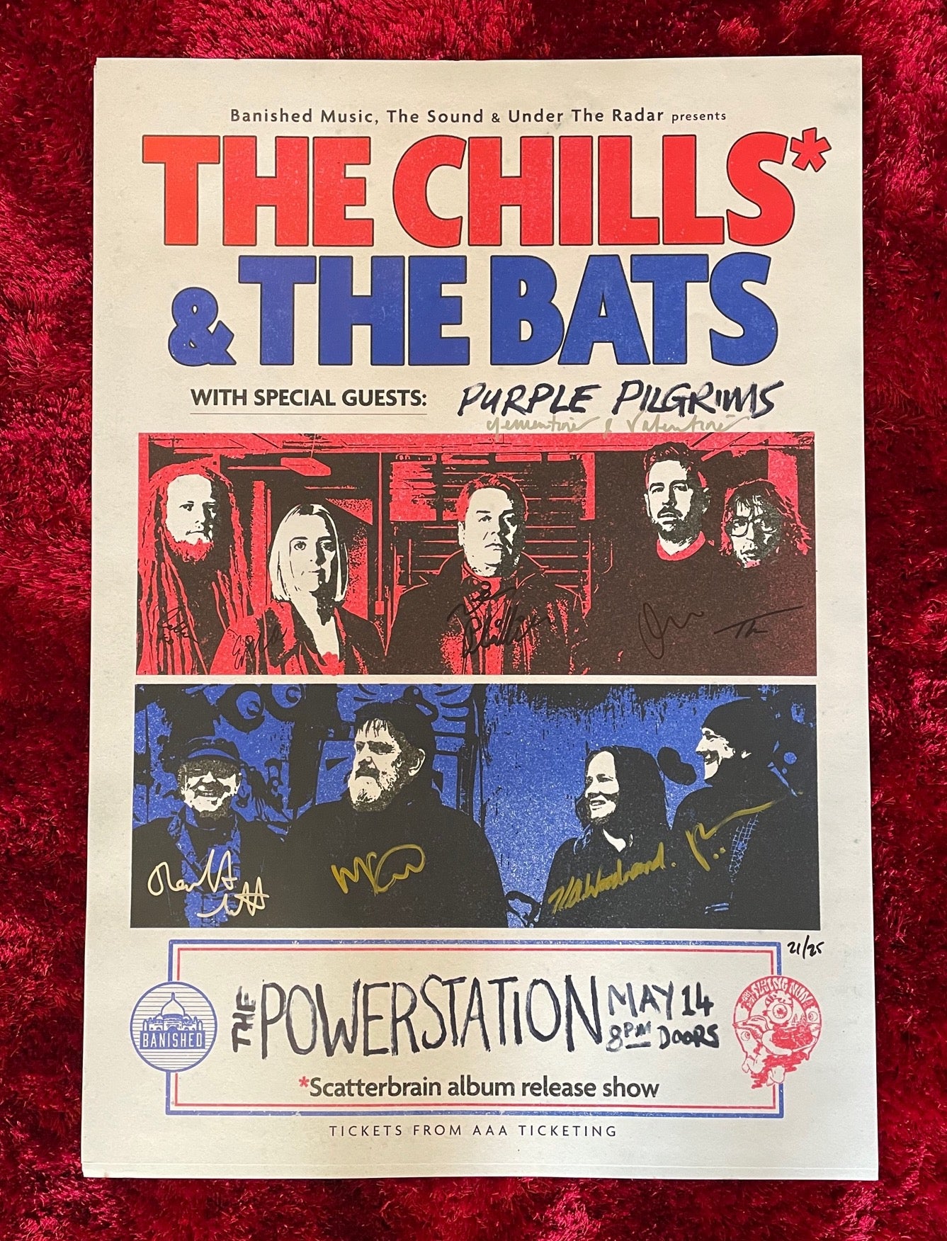 Chills, The Bats, Purple Pilgrims Signed Collectible Music Poster - Perfect for Bedroom Decor, Music Studio Wall Art & Fan Gift
