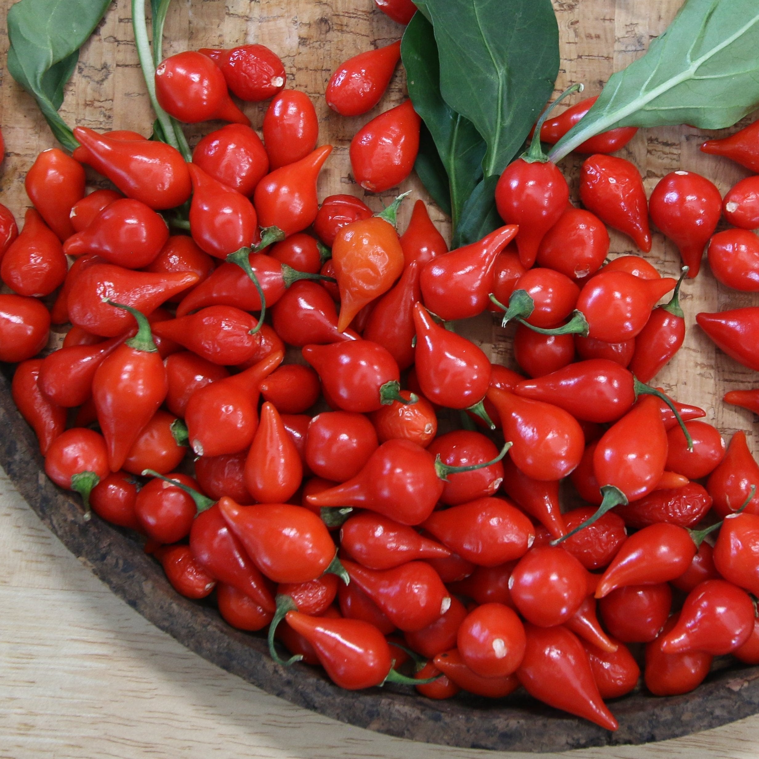 Biquinho Red Pepper Seeds - Non-GMO, Heirloom, Sweet & Mild Brazilian Chili Peppers for Home Garden, Cooking & Salsas | Perfect for Container Gardening, Fresh Salads & Gourmet Dishes
