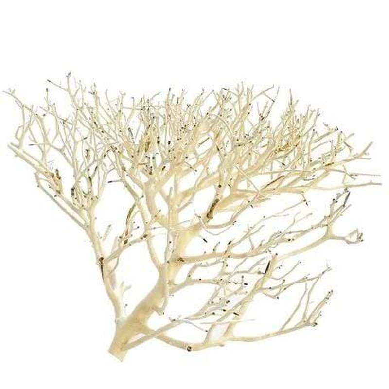 Aqua Natural Coral Wood - Premium Decorative Driftwood for Aquariums & Terrariums - Perfect for Fish Tanks, Reptile Habitats & Home Décor