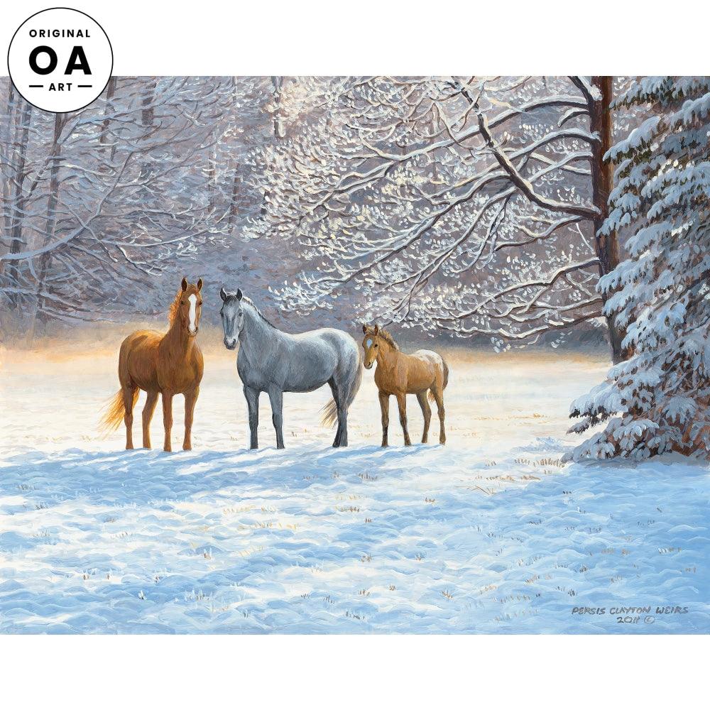 Bright Morning Horses - Premium Equestrian Gear for Horse Riding & Training | Perfect for Trail Rides, Dressage & Show Jumping