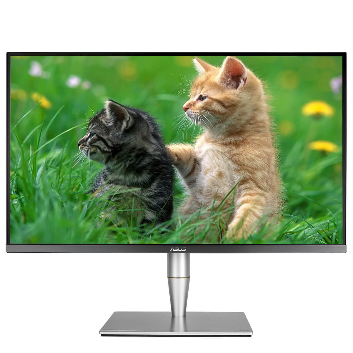 ASUS ProArt PA32UC 32-inch 4K UHD HDR10 IPS Professional Monitor for Photo Editing, Video Production & Graphic Design - Perfect for Creative Studios & Home Offices