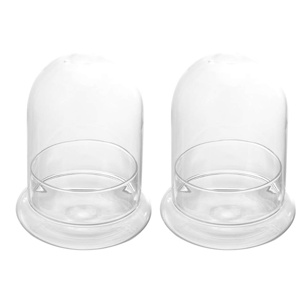 DOITOOL 2-Pack Glass Terrarium Dome with Wooden Base - Mini Plant Cloche Jar for Succulents, Air Plants & Flowers | Desktop Display Planter, Home Decor, Wedding Centerpiece, Office Decoration