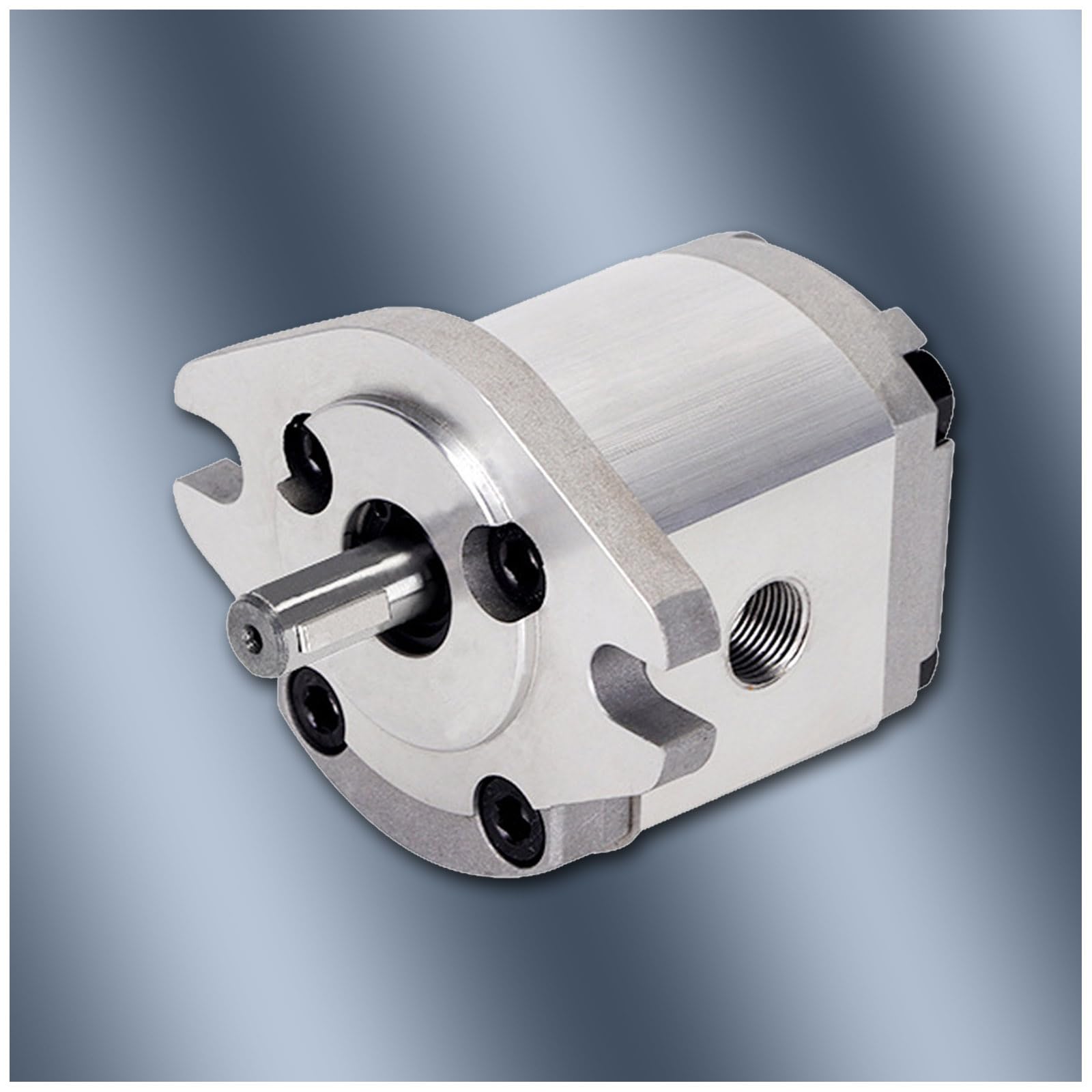 Hydraulic Gear Pump HGP-1A-F3R - Single Hydraulic Pressure Oil Pump for Industrial Machinery, Construction Equipment & Agricultural Use - High Performance Hydraulic Booster Pump for Heavy Duty Applications