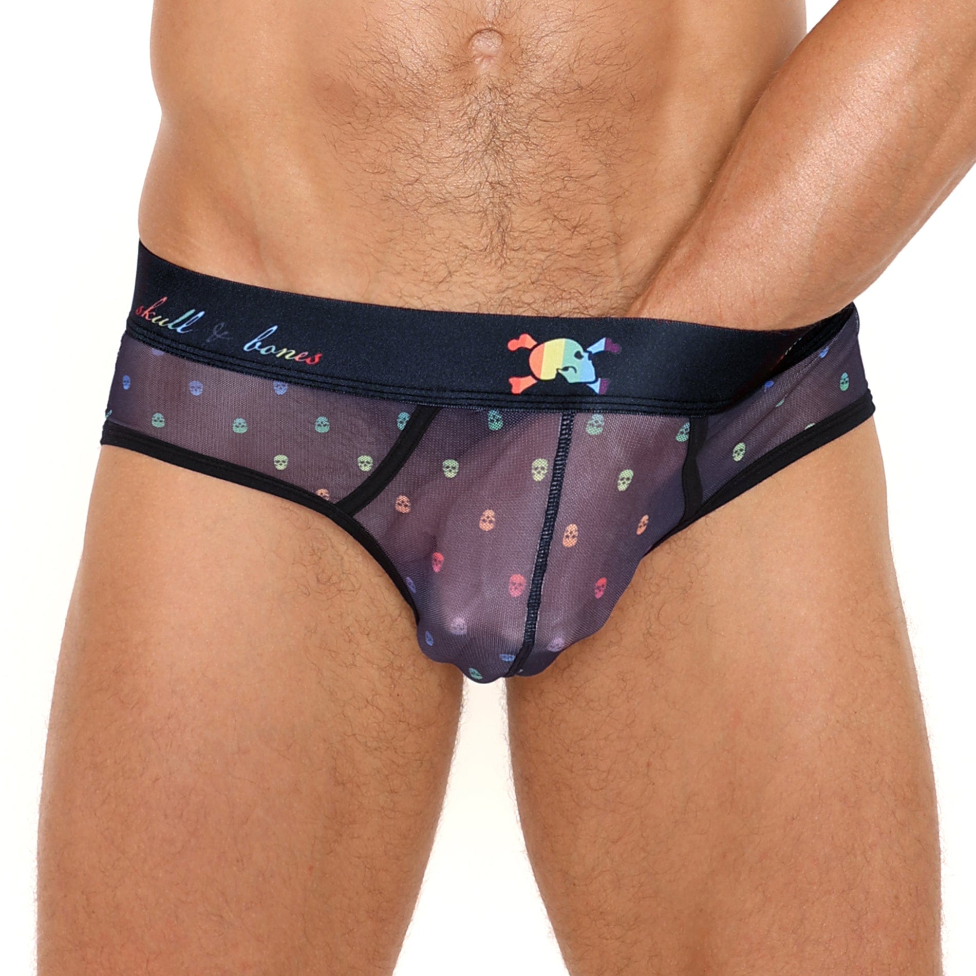 Pride Ditsy Skull Black Sheer Mesh Brief - Gothic Lingerie for Women, Comfortable Underwear for Daily Wear or Special Occasions