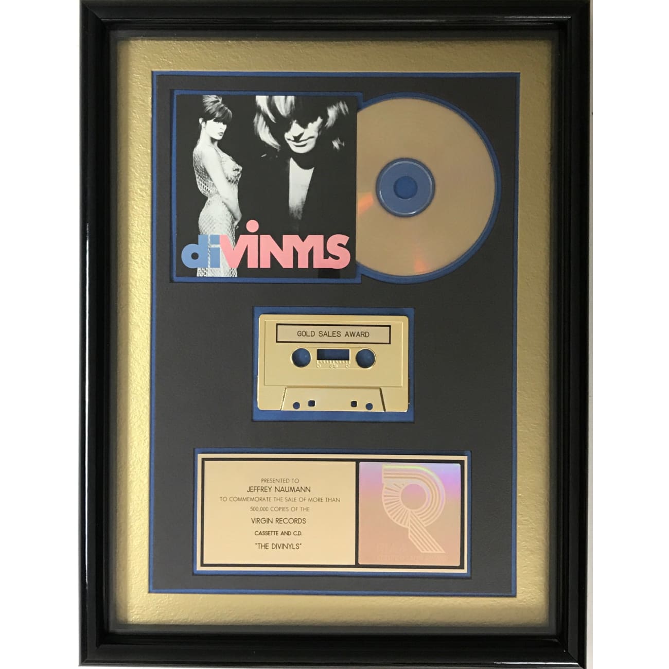 Divinyls Debut Album Award - RIAA Certified Gold Record - Perfect for Music Collectors & Vinyl Enthusiasts - Great for Display in Home, Office or Music Studio