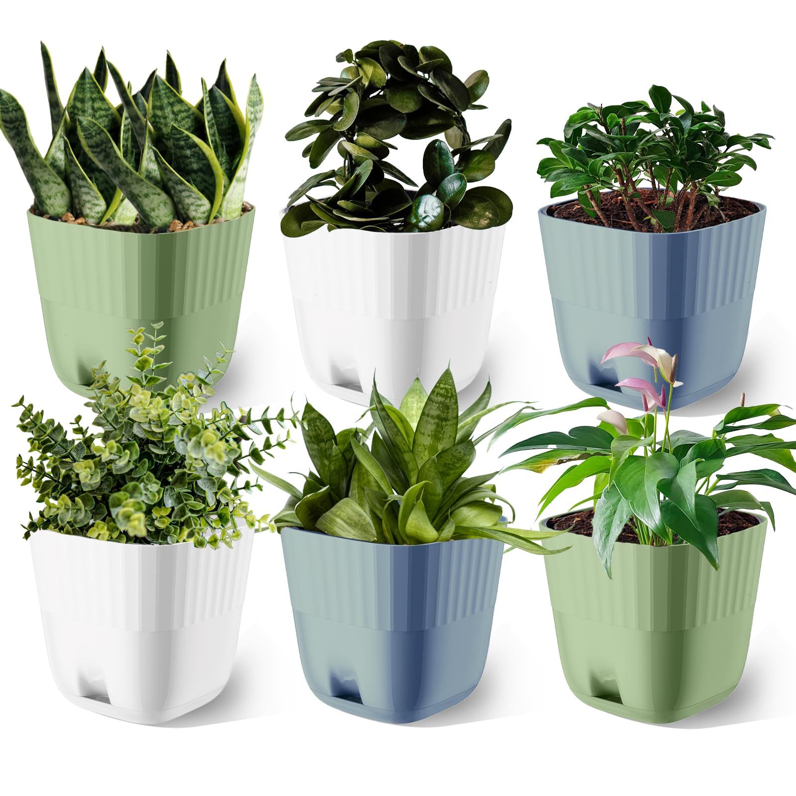 6-Pack 4.7-Inch Plastic Plant Pots with Drainage Holes & Saucers | Indoor/Outdoor Flower Pots for Succulents, Herbs, Orchids & Small Plants | Perfect for Windowsill, Nursery, Garden & Home Decor | Ideal for Planting, Gifting & DIY Gardening Projects