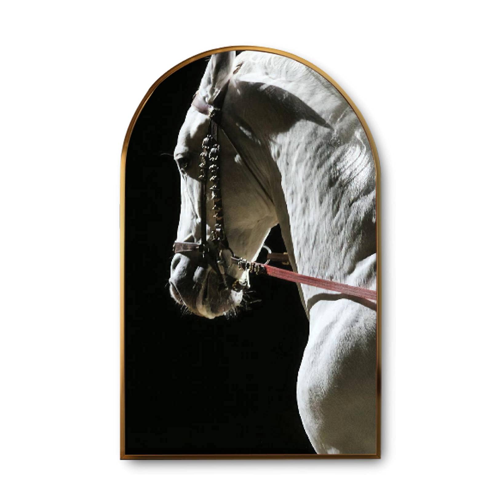 Large Lipizzaner Stallion Closeup Canvas Wall Art - Golden Framed Modern Giclee Print - Elegant Home Decor for Living Room, Bedroom & Office