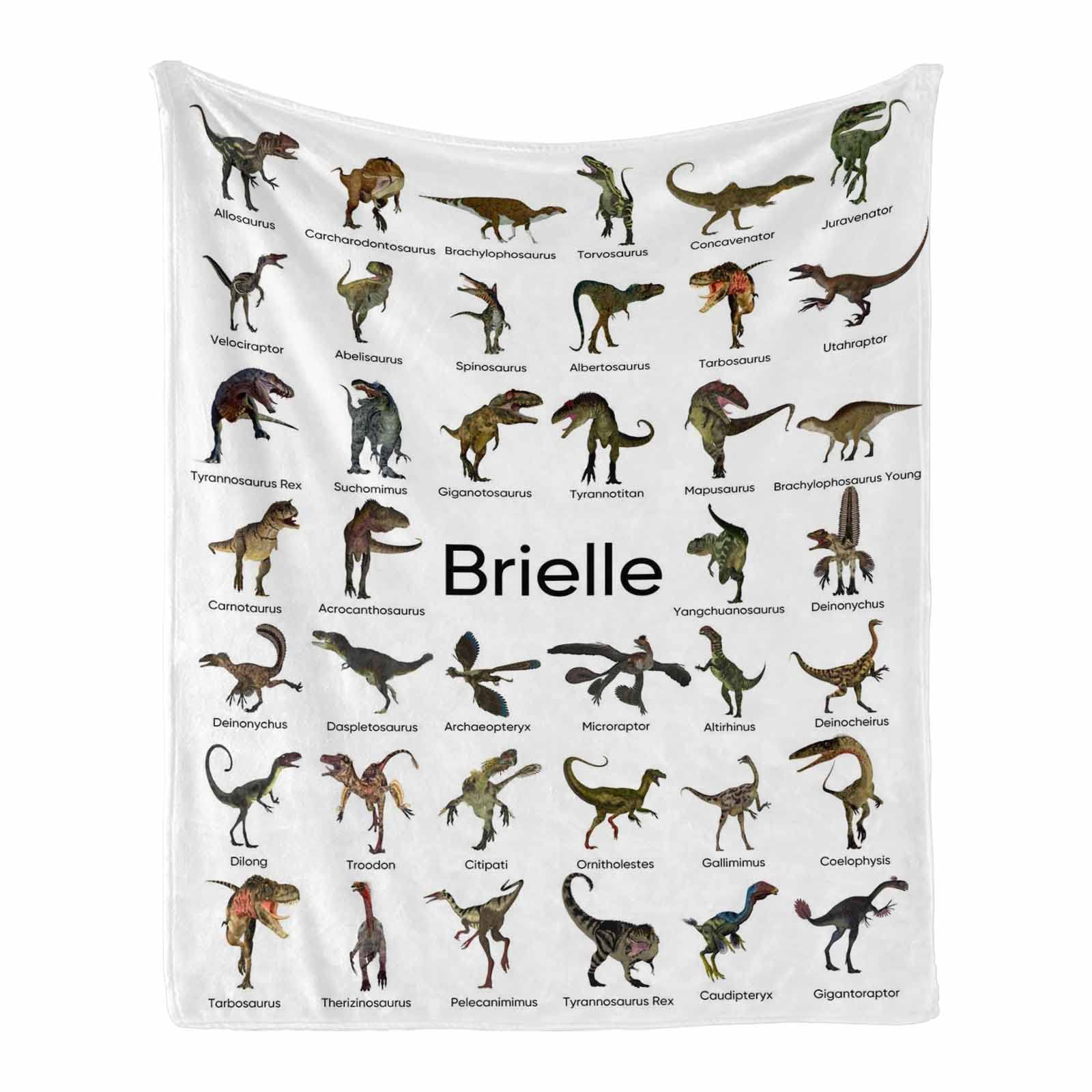 Personalized Dinosaur Blanket for Kids - Custom Name Baby Blanket with Educational Dino Designs, Soft Nursery Blanket for Boys & Girls (40