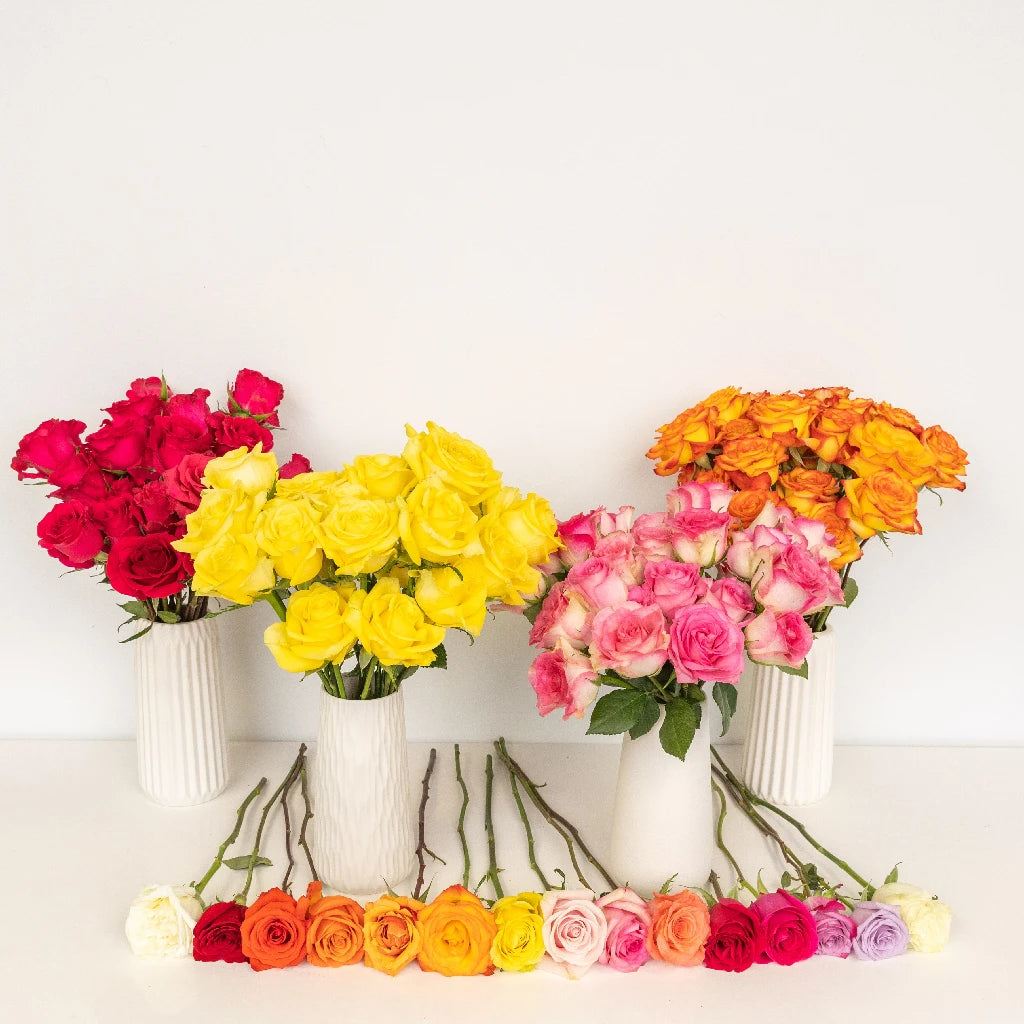 100 Fresh Roses Bouquet - Perfect Mother's Day Gift for Mom, Anniversary, Valentine's Day | Long-Lasting Flowers for Home Decor, Wedding Centerpieces & Romantic Surprises