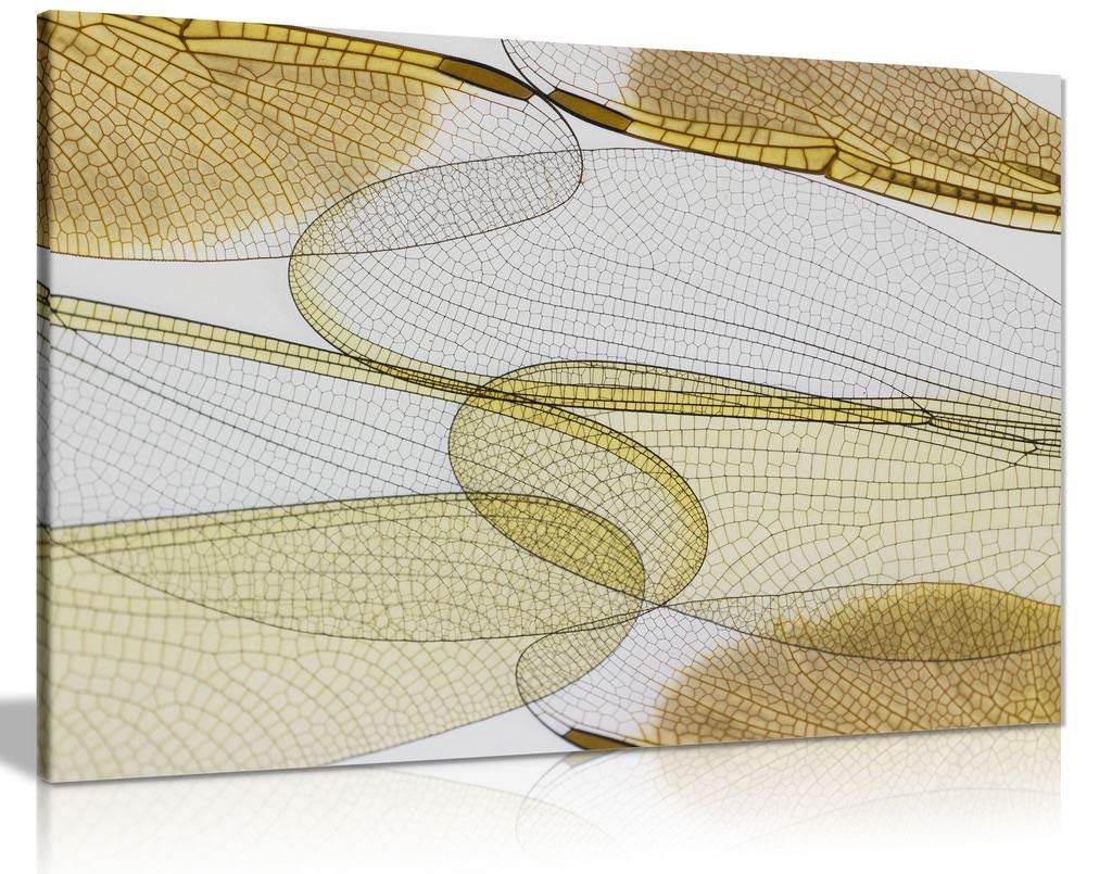 Abstract Dragonfly Wings Canvas Wall Art Print - Modern Home Decor for Living Room, Bedroom, or Office (36x24 Inches)