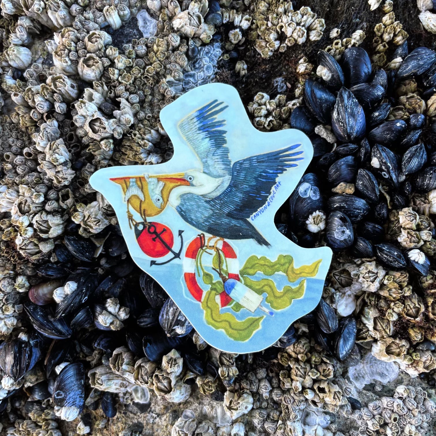 Premium Pelican Bay Stickers - Waterproof, Durable Vinyl Decals for Laptops, Cars & Outdoor Gear - Perfect for Surfers, Boaters & Adventure Enthusiasts