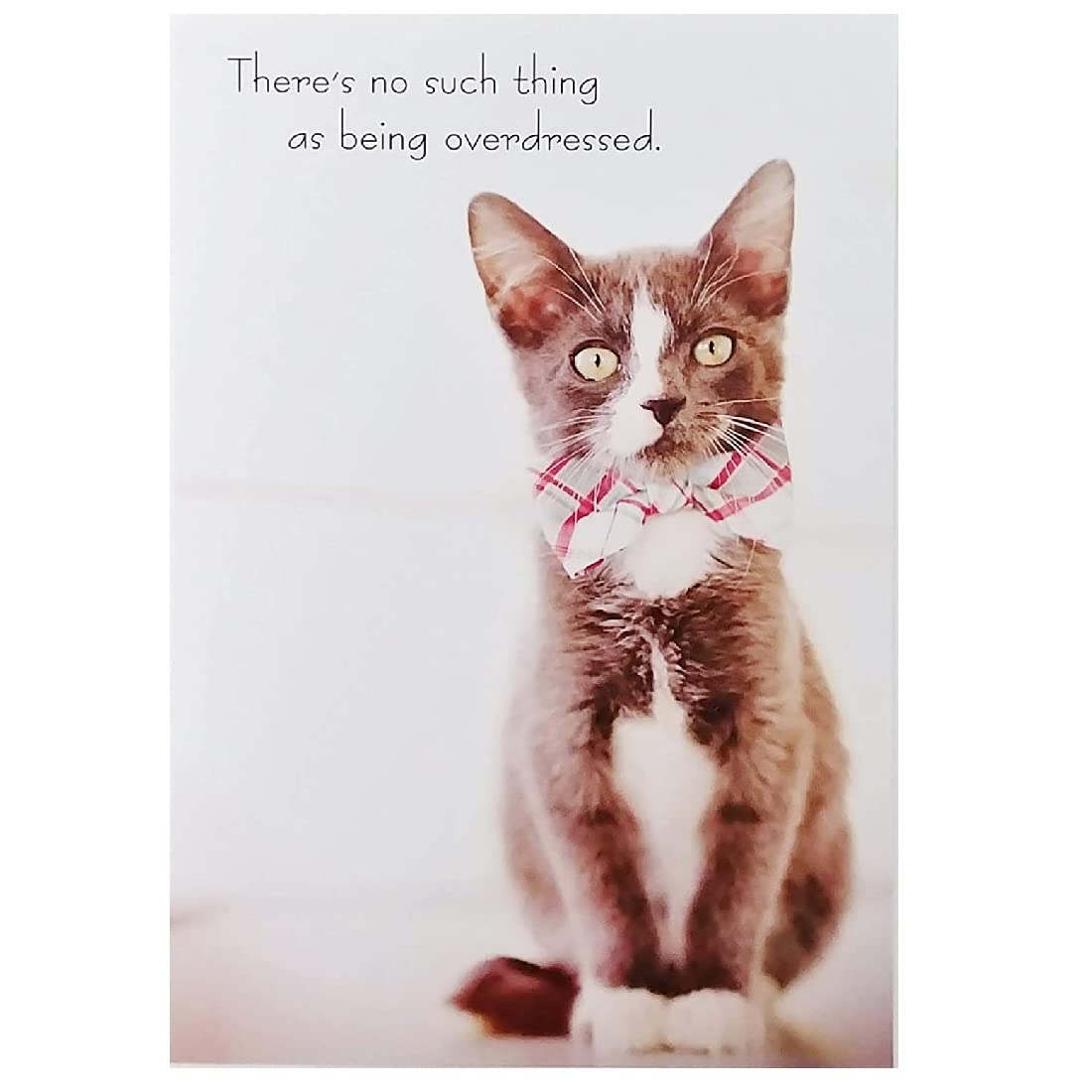 Elegant Birthday Greeting Card - 'There's No Such Thing As Being Overdressed or Overcelebrated' with Stylish Grey & White Cat Design | Perfect for Birthday Wishes, Party Invitations & Special Occasions