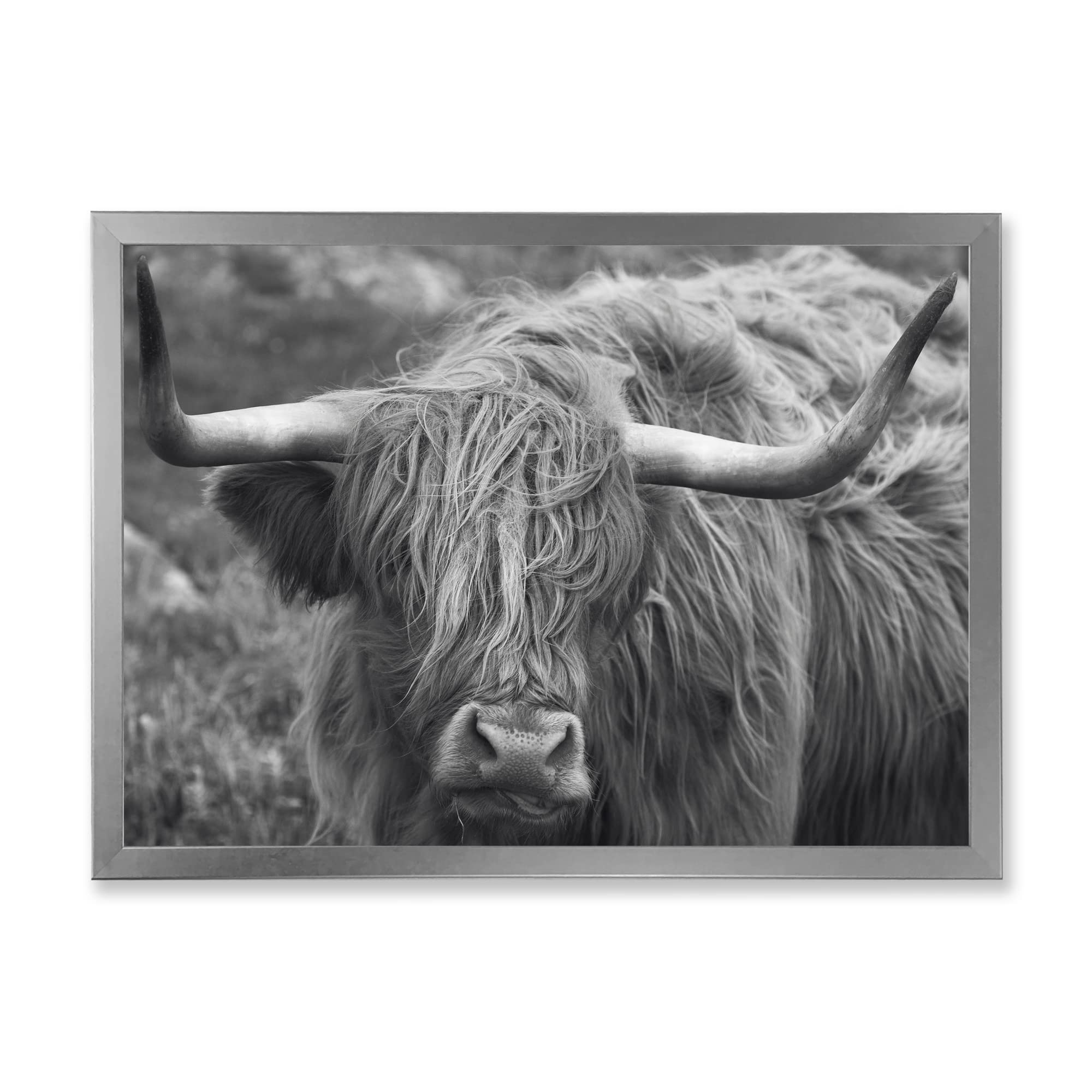 Scottish Highland Cow on Moorland - Farmhouse Framed Wall Art Decor for Living Room, Bedroom & Office