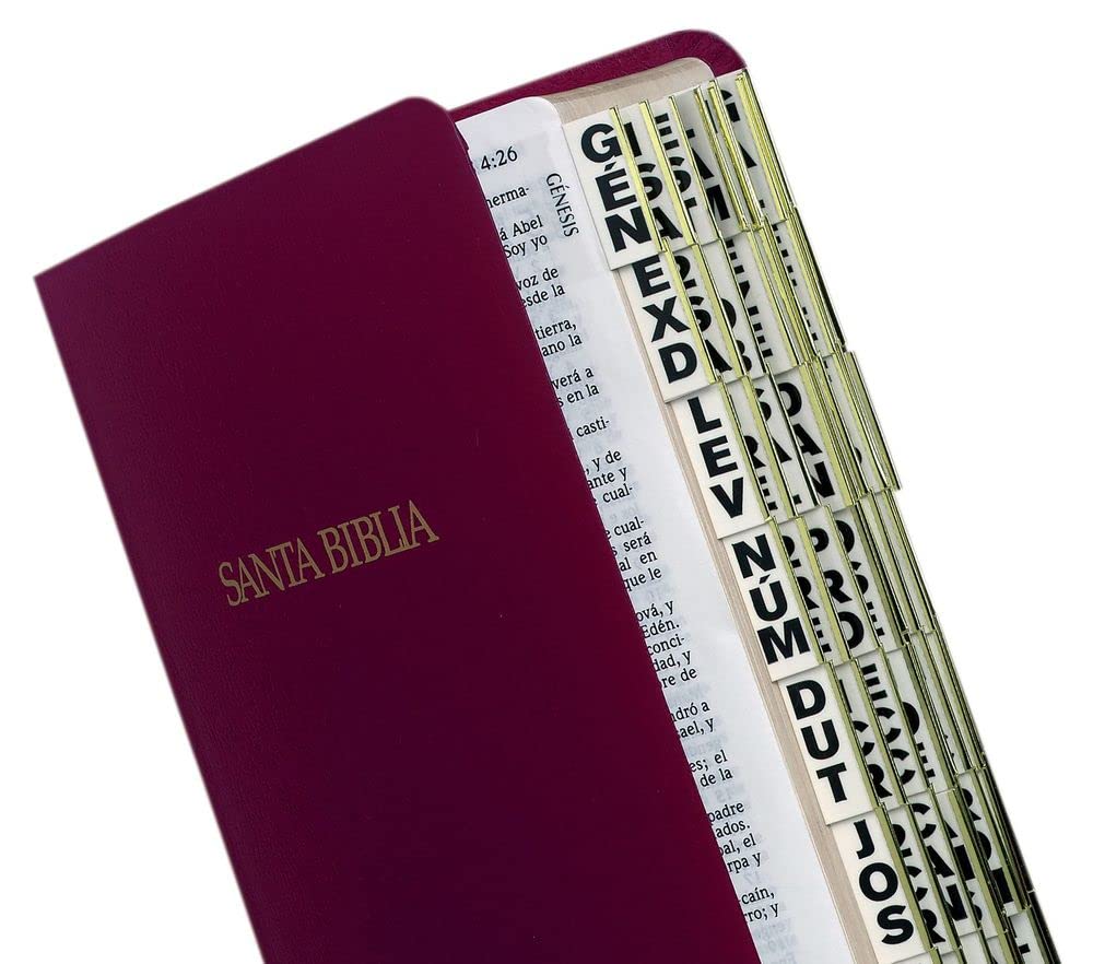 Catholic Spanish Large Print Bible with Gold-Edged Indexing Tabs - Old & New Testament + 77 Catholic Books & 25 Reference Tabs (96 Tabs Total) - Perfect for Bible Study, Church Services & Personal Devotion