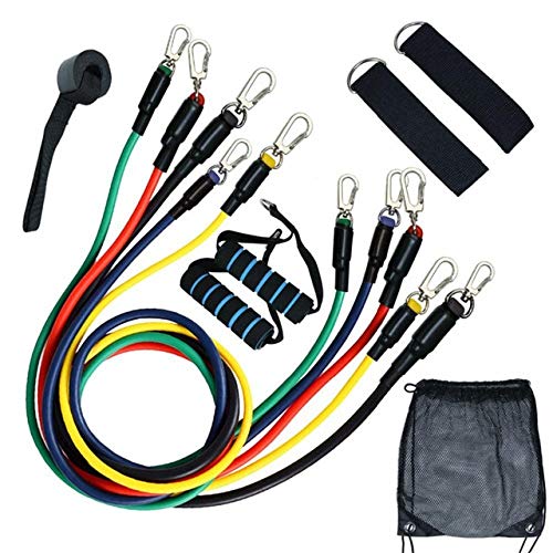 DASHUAIGE 11-Piece Resistance Bands Set for Home Gym, Workout & Fitness Training - Elastic Exercise Bands for Strength Training, Yoga, Pilates & Physical Therapy - Perfect for Full Body Toning & Muscle Building