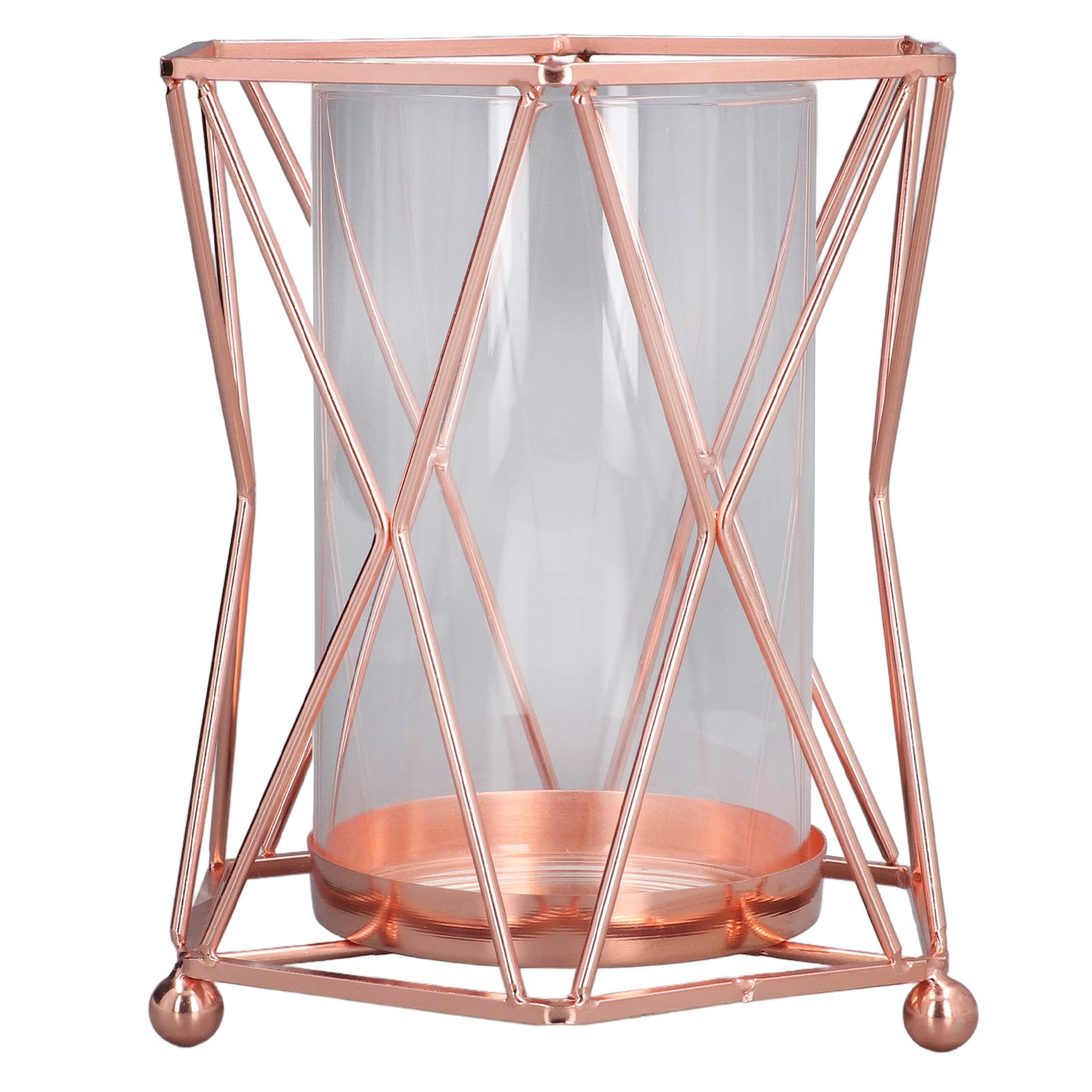 Puseky Hydroponic Plant Vase - Wrought Iron Flower Stand with Transparent Glass Planter for Home, Living Room, Office & Wedding Decor | Indoor Gardening, Table Centerpiece, Gift Idea