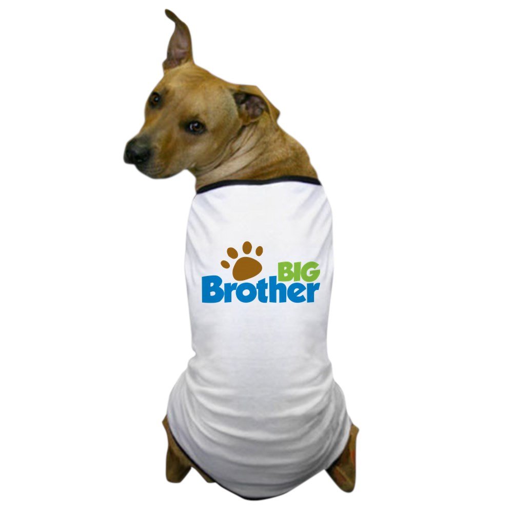 Paw Print Big Brother Dog T-Shirt - Cute Pet Apparel for Dog Lovers - Perfect for Matching Outfits & Family Photos