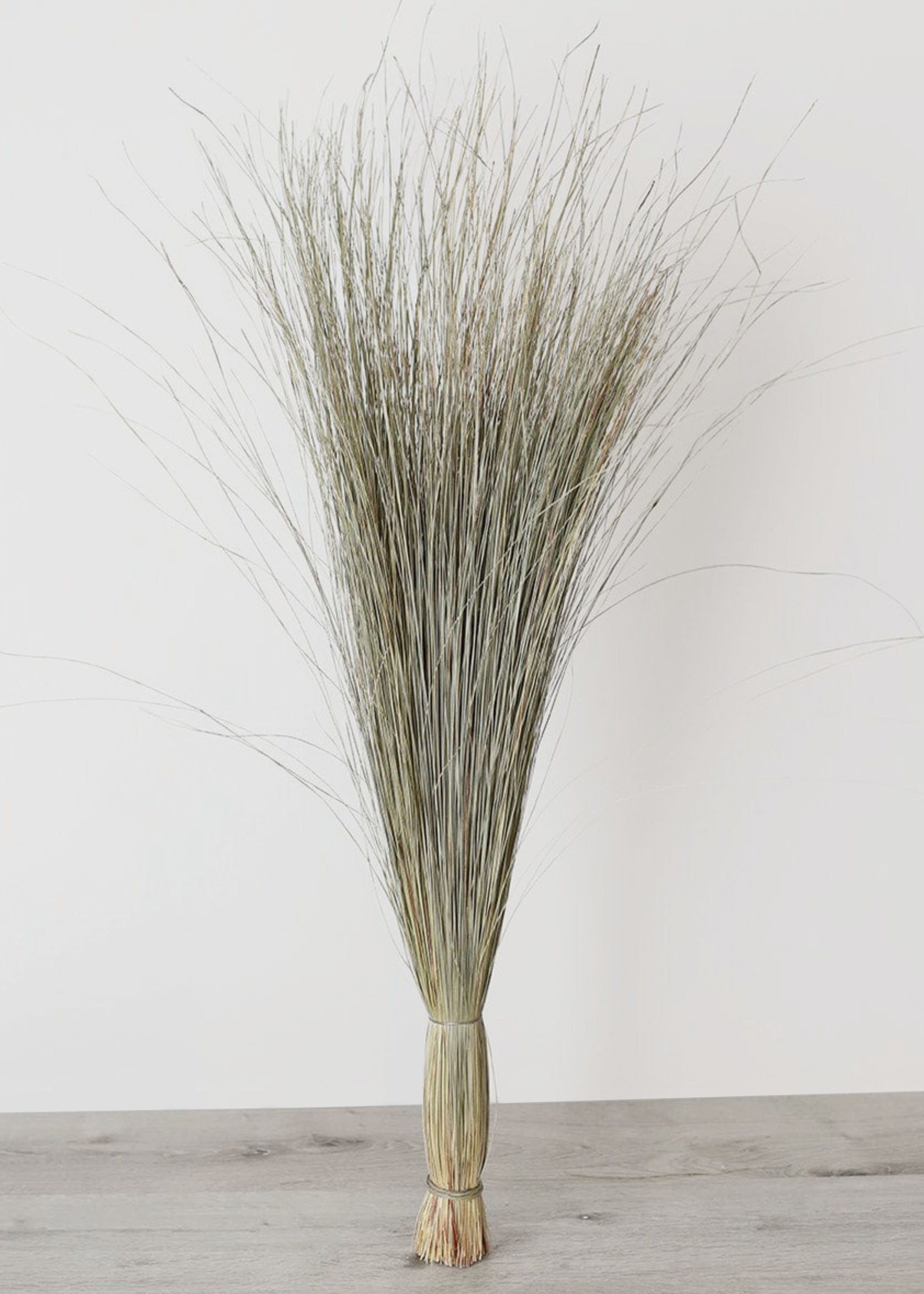 Preserved Coastal Dune Grass - 36 Pack of Natural Beach Grass for Erosion Control | Perfect for Coastal Landscaping, Sand Dune Restoration & Beachfront Property Protection