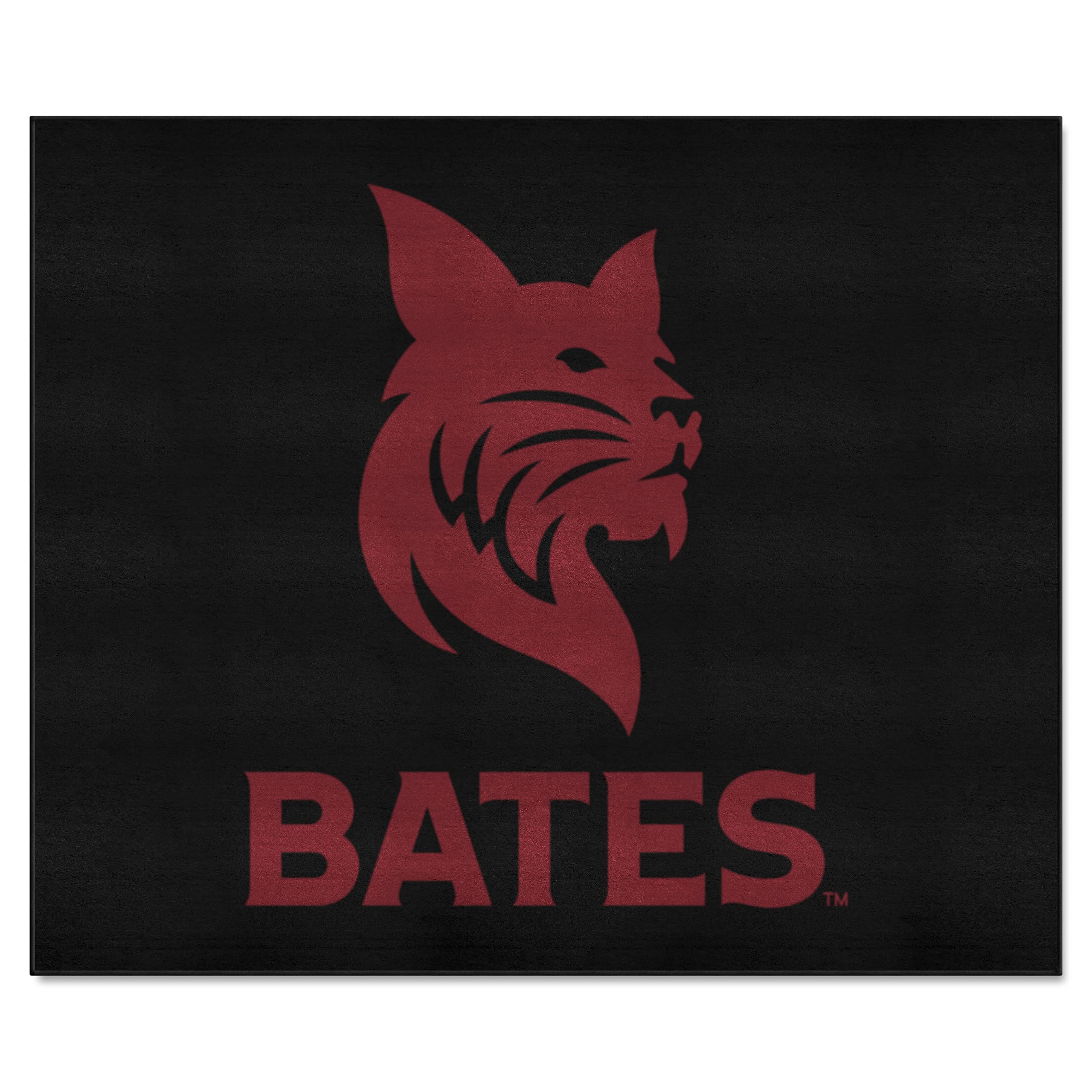 FANMATS NCAA Unisex-Adult Tailgater Mat - Durable Outdoor Picnic Blanket for Football Games, Tailgating, Camping & Beach Days