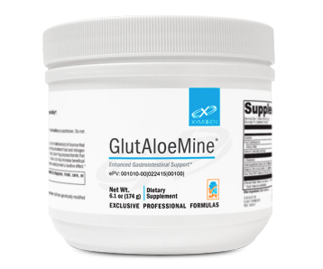 Xym Glutalonemine Powder - 30 Scoops (30 Servings) for Muscle Recovery & Immune Support - Perfect for Post-Workout & Fitness Enthusiasts
