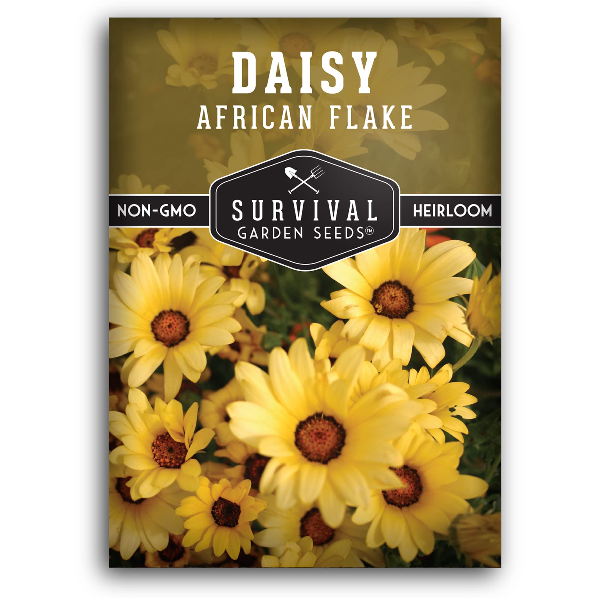 1 Pack African Flake Daisy Seeds - Non-GMO Heirloom Flower Seeds for Planting with Growing Instructions - Grow Vibrant Purple-Centered Daisies in Home Garden, Containers or Landscaping - Perfect for Flower Beds, Borders and Pollinator Gardens