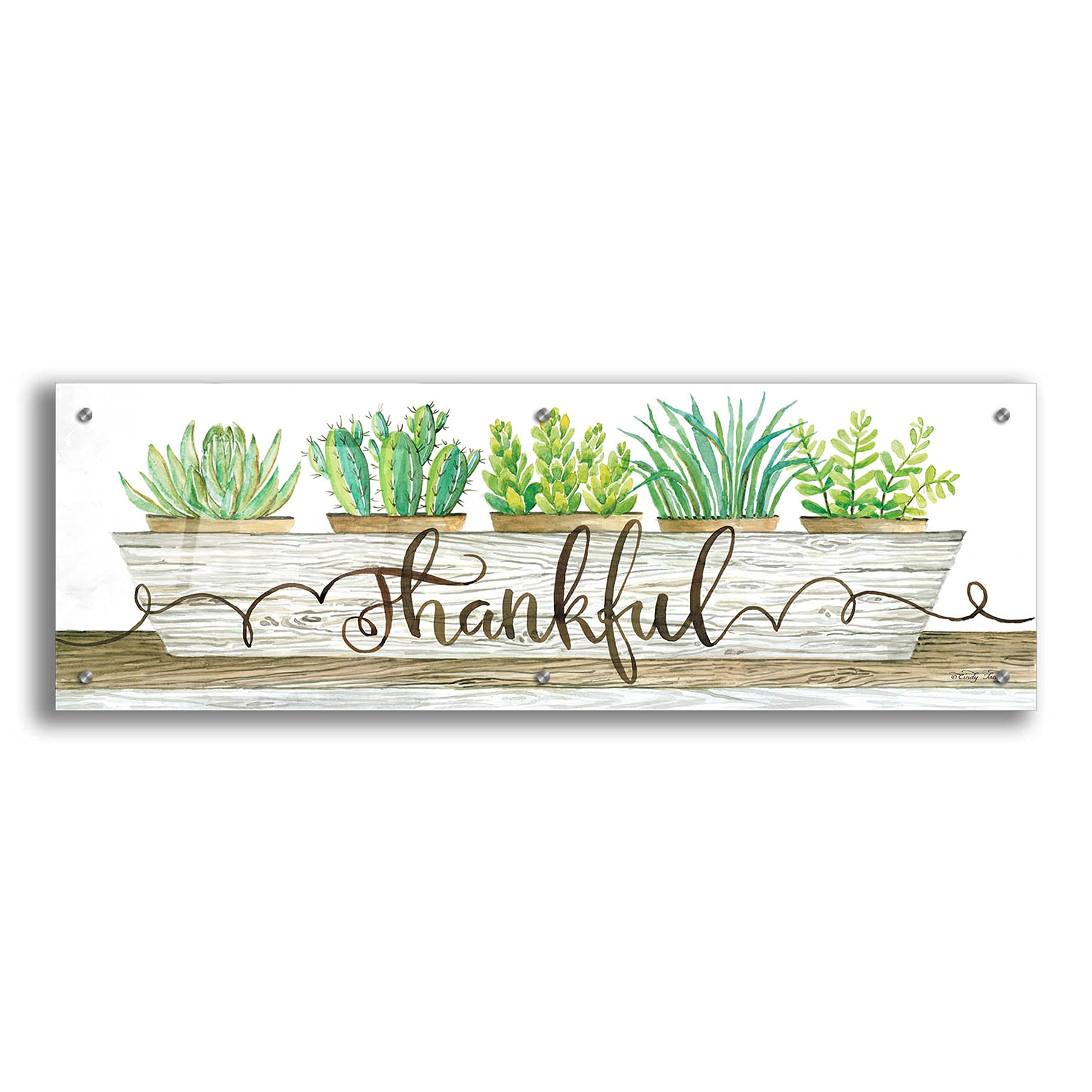 Epic Art 'Thankful Succulent Pots' by Cindy Jacobs - 36x12 Inch Acrylic Glass Wall Art Decor for Living Room, Bedroom, Office - Modern Botanical Home Decor Gift