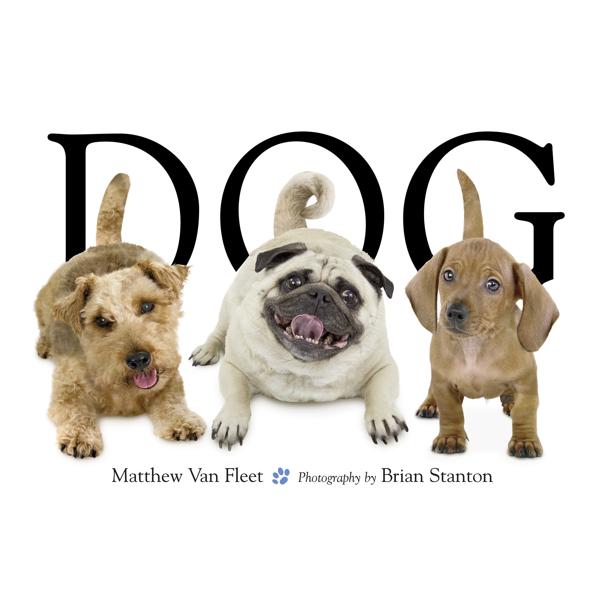 Best Interactive Dog Book for Kids Ages 2-7 | Fun Learning & Storytime Activity | Perfect for Preschool Education & Bedtime Reading