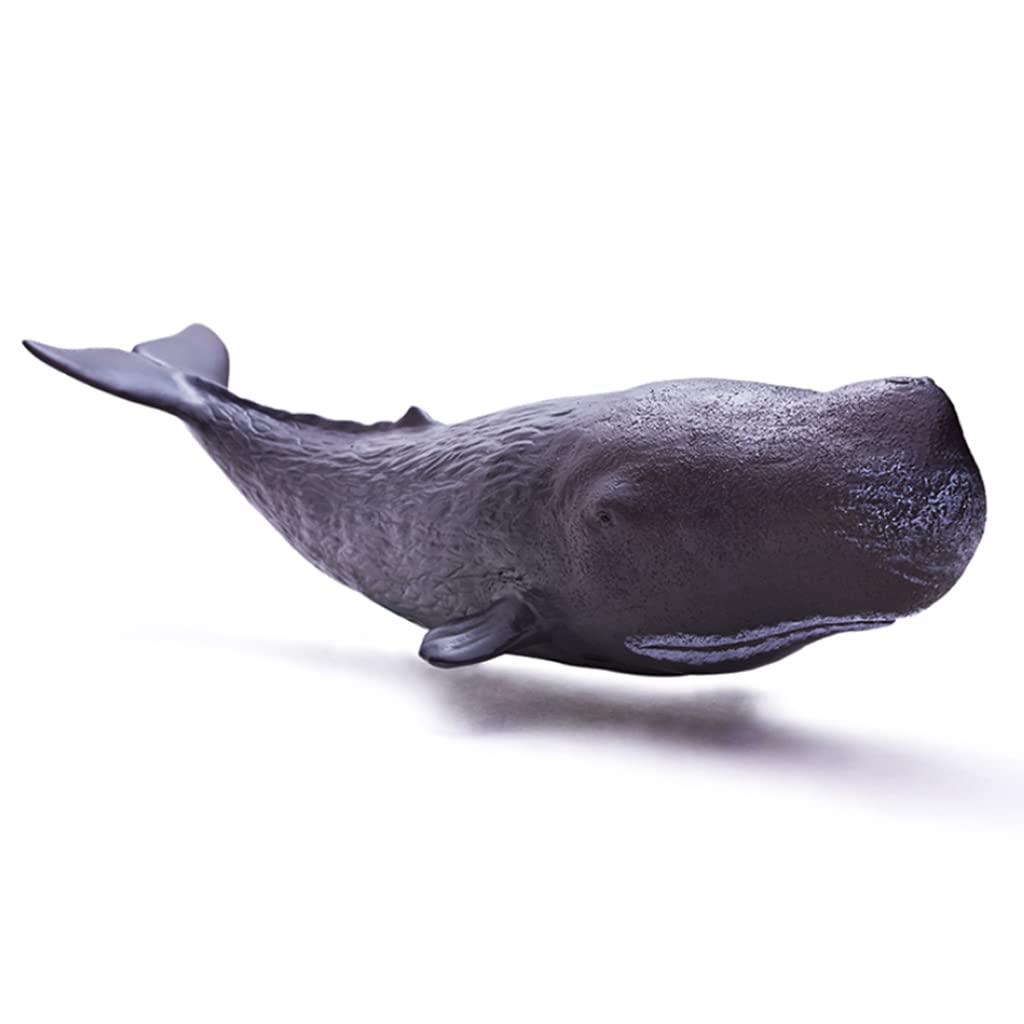 Mini Whale Toy - Realistic Marine Animal Model for Kids | Educational Ocean Creature Science Toy | Perfect for Classroom Learning, Birthday Gifts & STEM Play