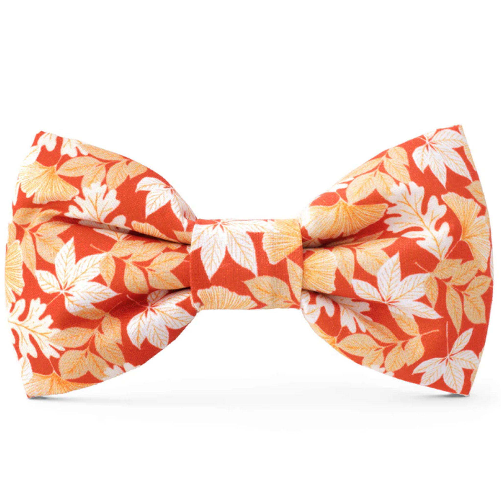 The Foggy Dog Bowtie - Autumn Leaves Pattern Pet Accessory for Small & Medium Dogs | Perfect for Fall Photos, Halloween Costumes & Special Occasions